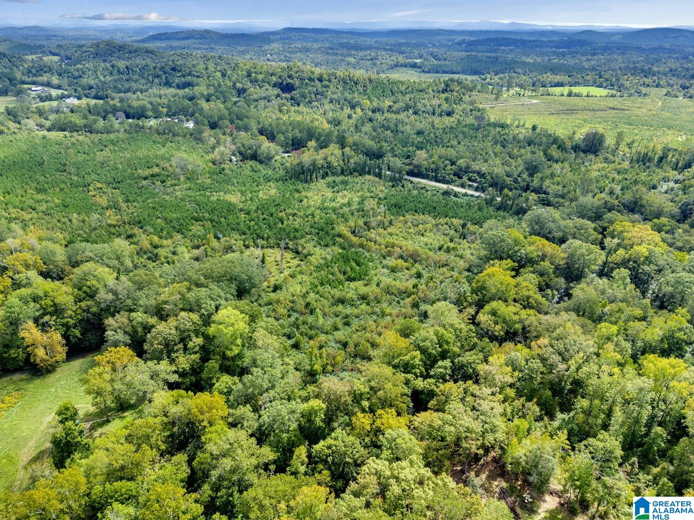 Homes for sale in Ohatchee, AL | 0 Warrior Road, Ohatchee, AL 36271 | MLS# 21397756