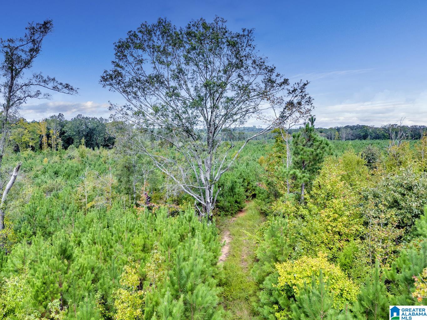 Homes for sale in Ohatchee, AL | 0 Warrior Road, Ohatchee, AL 36271 | MLS# 21397756