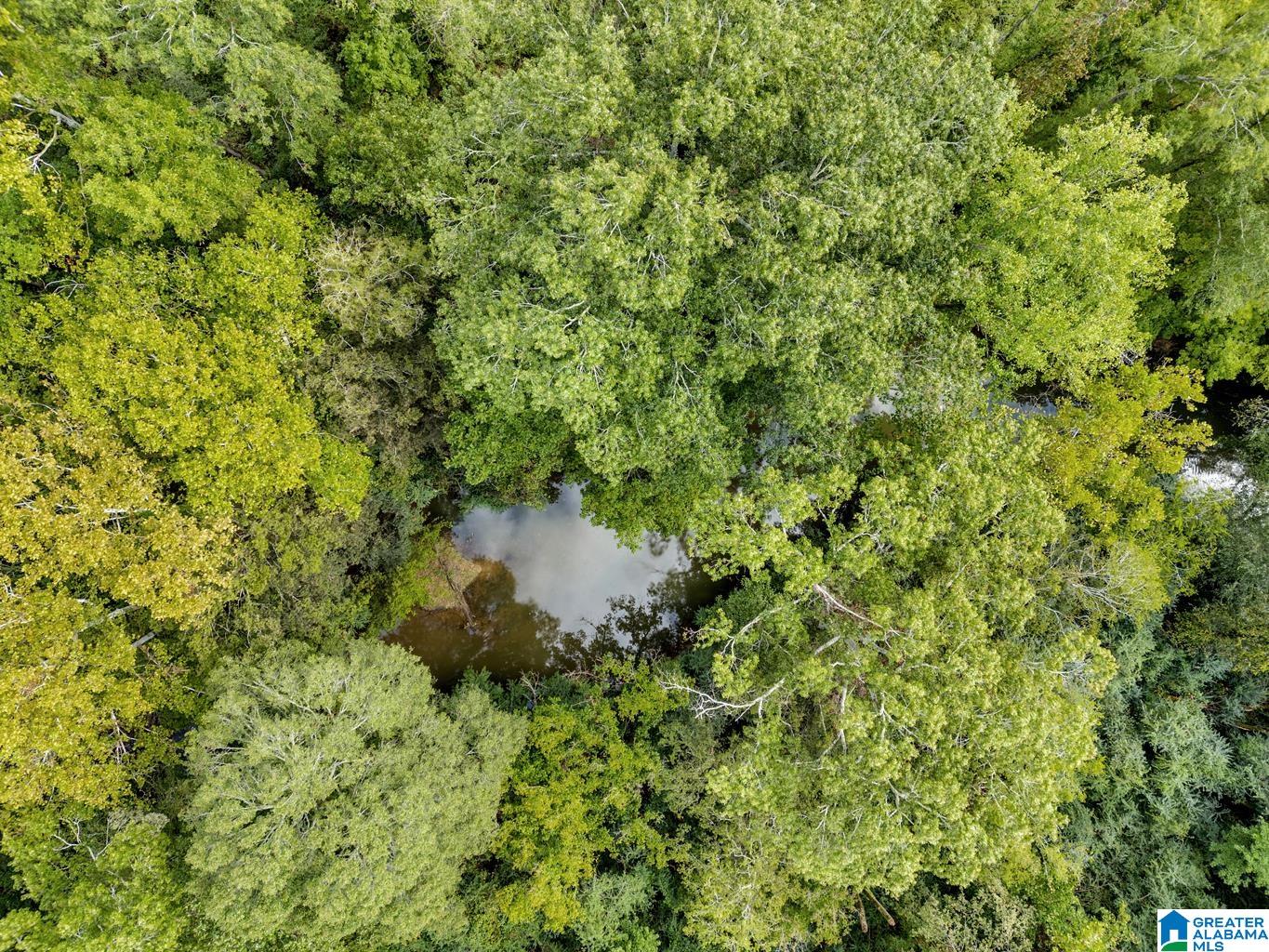 Homes for sale in Ohatchee, AL | 0 Warrior Road, Ohatchee, AL 36271 | MLS# 21397756