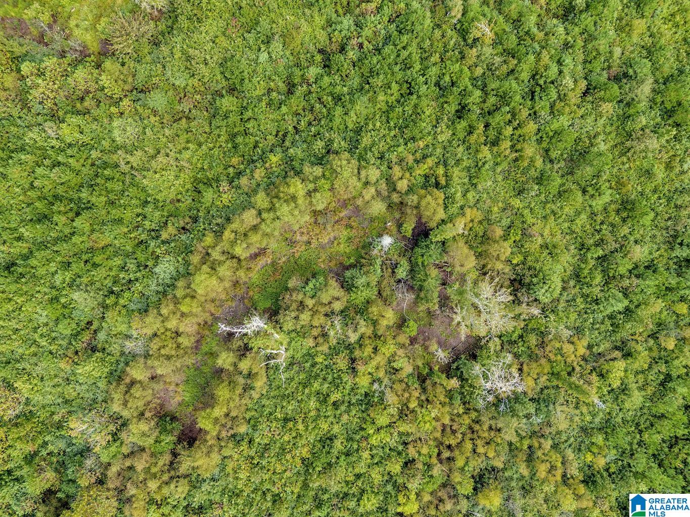 Homes for sale in Ohatchee, AL | 0 Warrior Road, Ohatchee, AL 36271 | MLS# 21397756