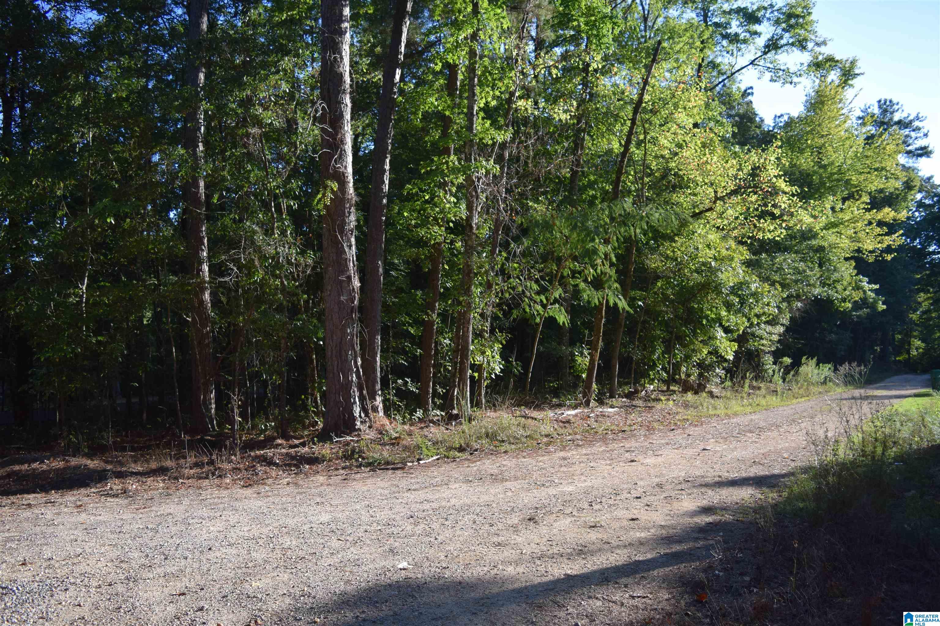 Homes for sale in Mc Calla, AL | 000 Charles Circle, Mc Calla, AL 35111 | MLS# 21397777