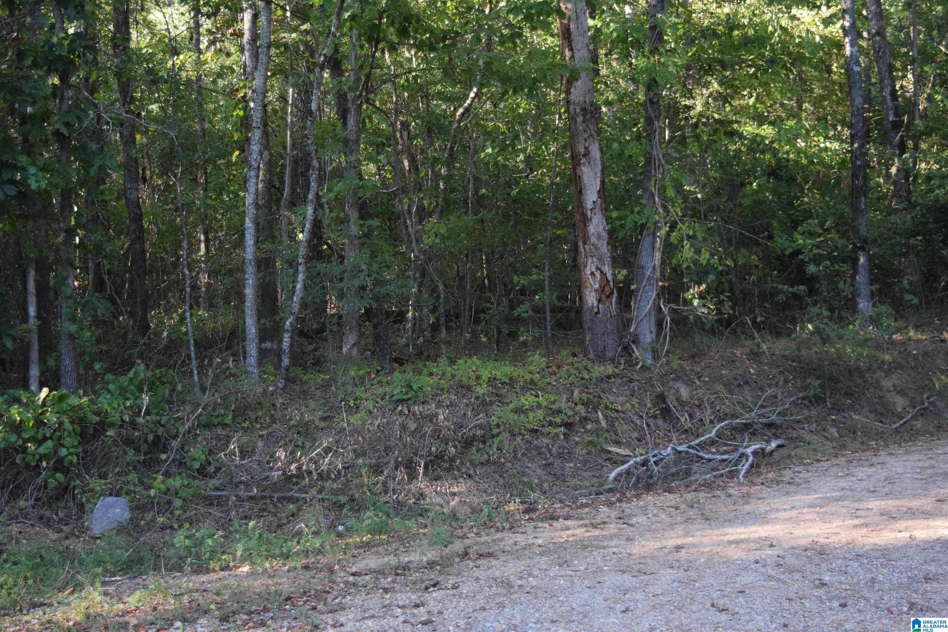 Homes for sale in Mccalla, AL | 000 Cary Dr, Mccalla, AL 35111 | MLS# 21397778