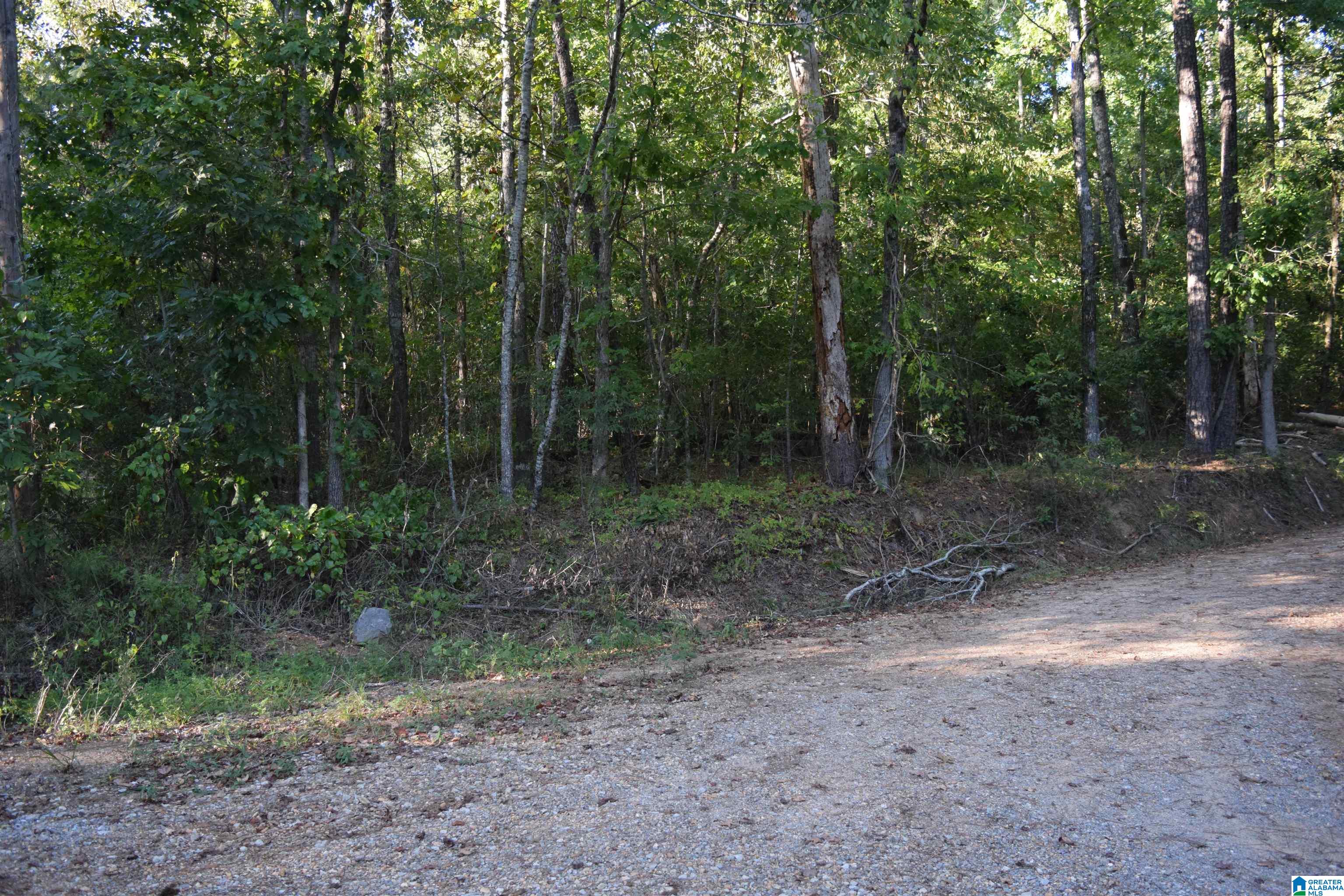 Homes for sale in Mccalla, AL | 000 Cary Dr, Mccalla, AL 35111 | MLS# 21397778