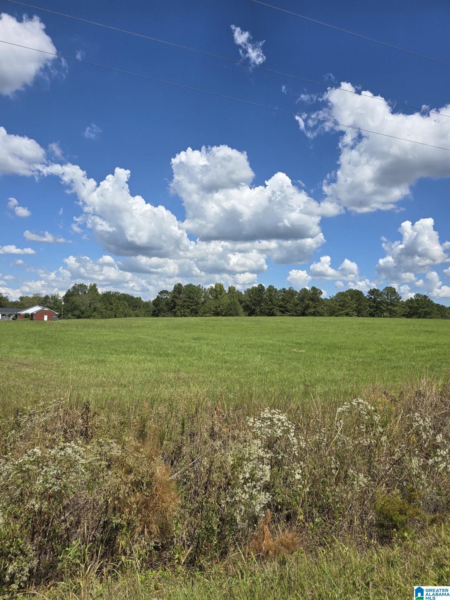 Homes for sale in Jemison, AL | 0 Hwy 31, Jemison, AL 35085 | MLS# 21397981