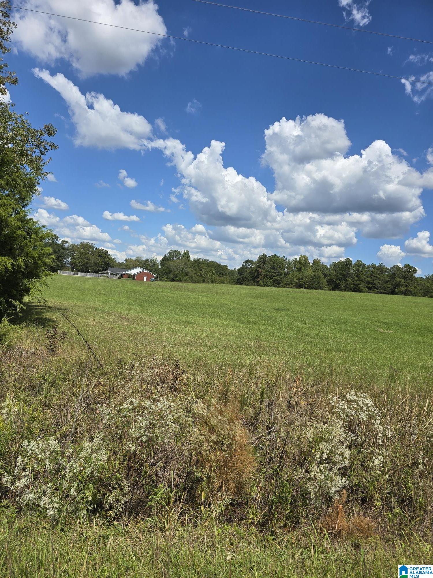 Homes for sale in Jemison, AL | 0 Hwy 31, Jemison, AL 35085 | MLS# 21397981