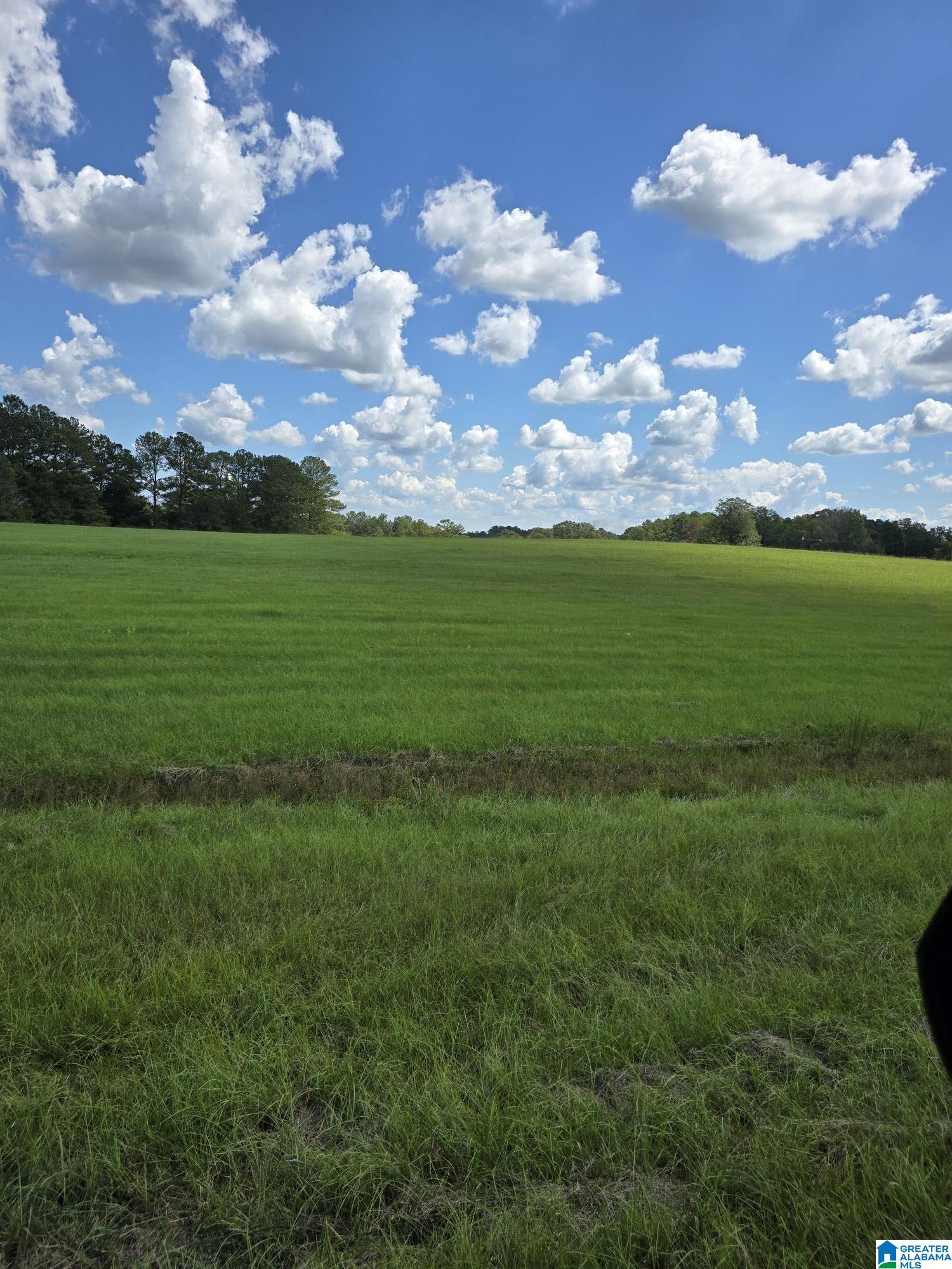 Homes for sale in Jemison, AL | 0 Hwy 31, Jemison, AL 35085 | MLS# 21397981