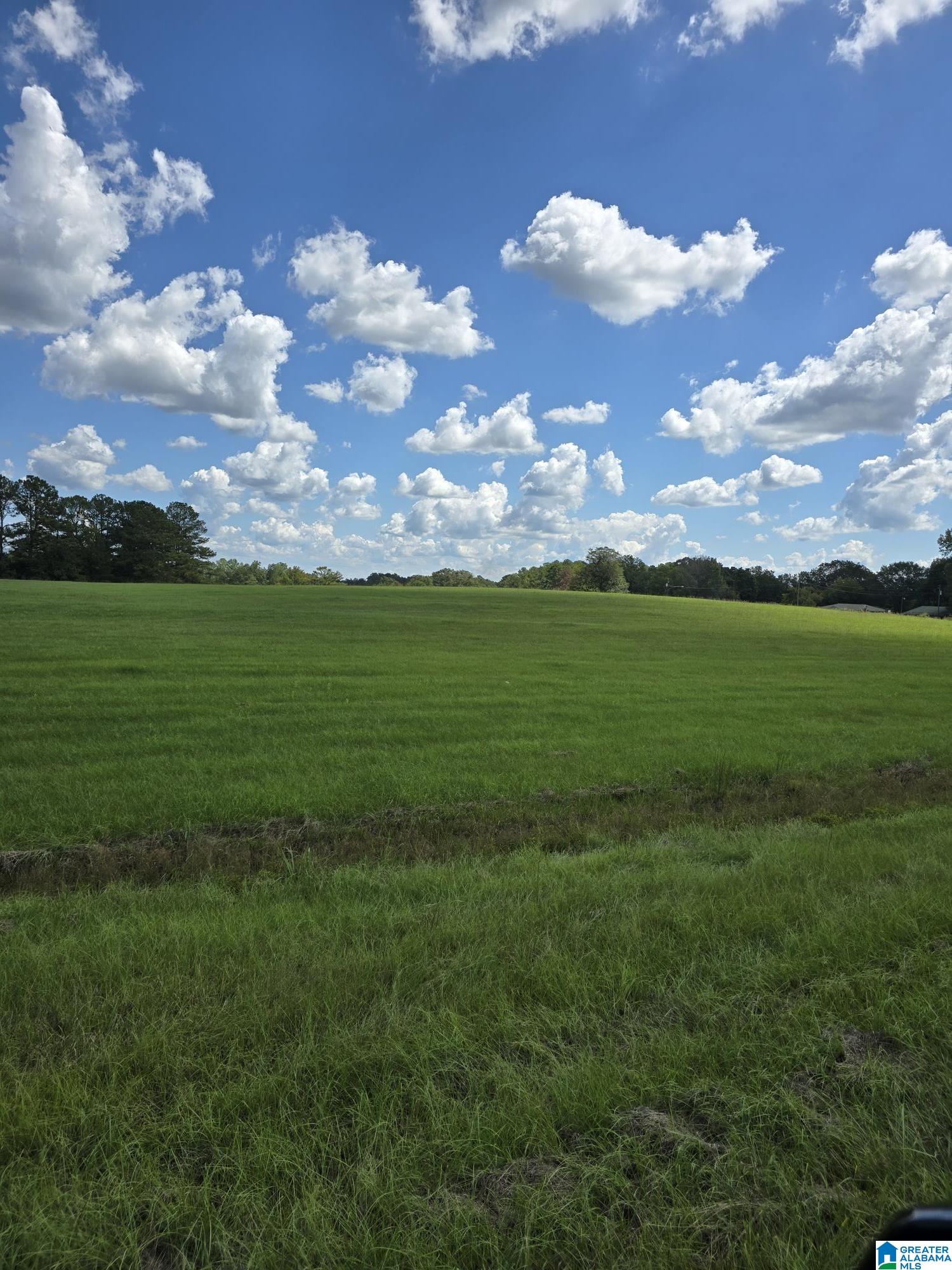 Homes for sale in Jemison, AL | 0 Hwy 31, Jemison, AL 35085 | MLS# 21397981