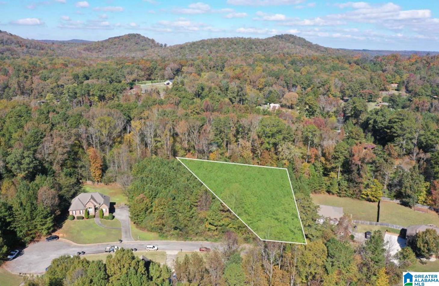 Homes for sale in Pinson, AL | 7016 Brooke Lane, Pinson, AL 35126 | MLS# 21398007