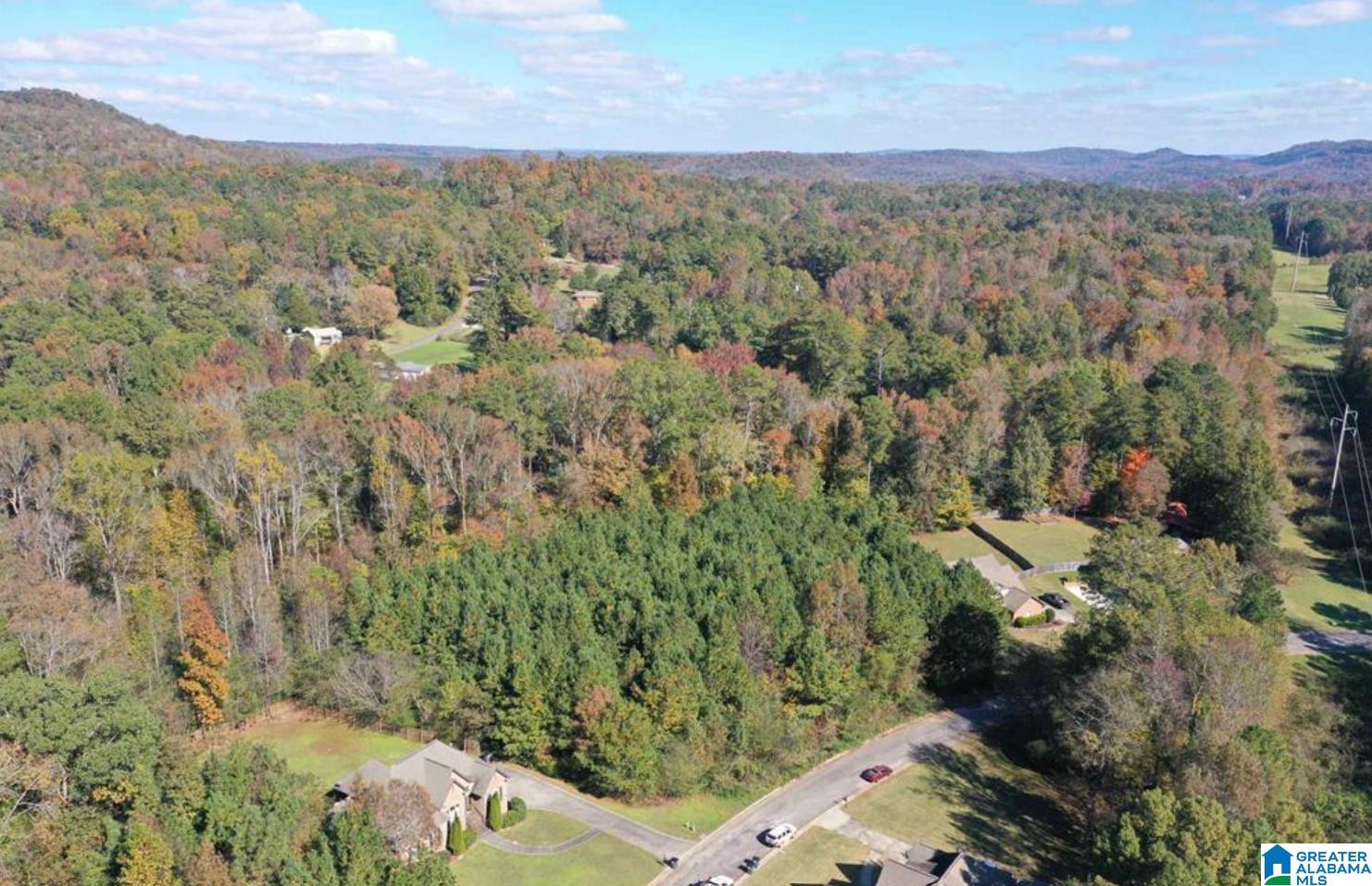 Homes for sale in Pinson, AL | 7016 Brooke Lane, Pinson, AL 35126 | MLS# 21398007