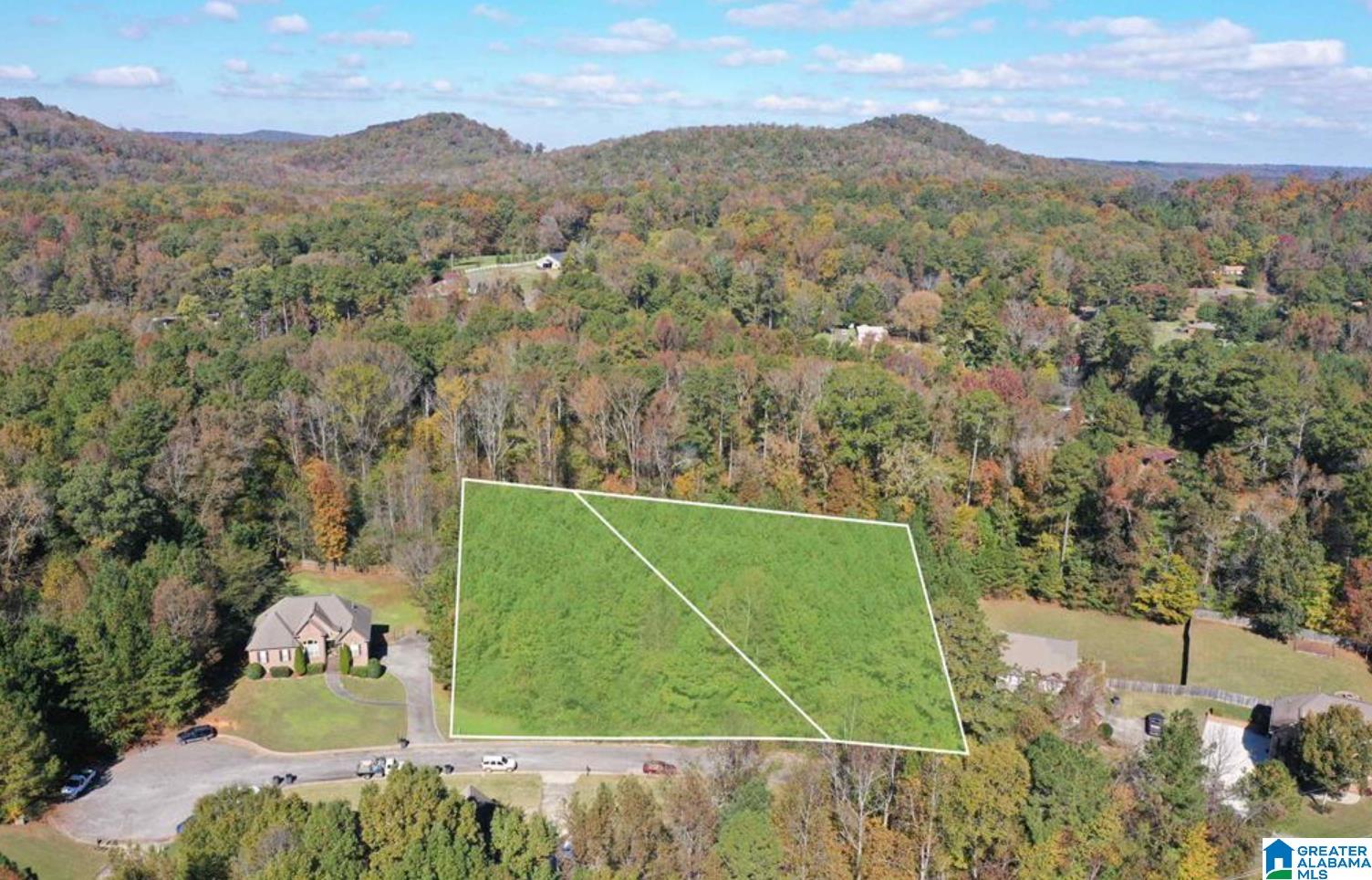 Homes for sale in Pinson, AL | 7016 Brooke Lane, Pinson, AL 35126 | MLS# 21398007