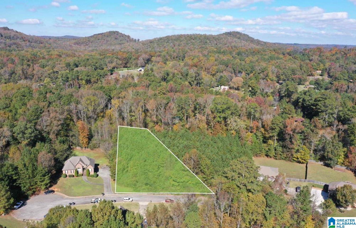 Homes for sale in Pinson, AL | 7012 Brooke Lane, Pinson, AL 35126 | MLS# 21398008