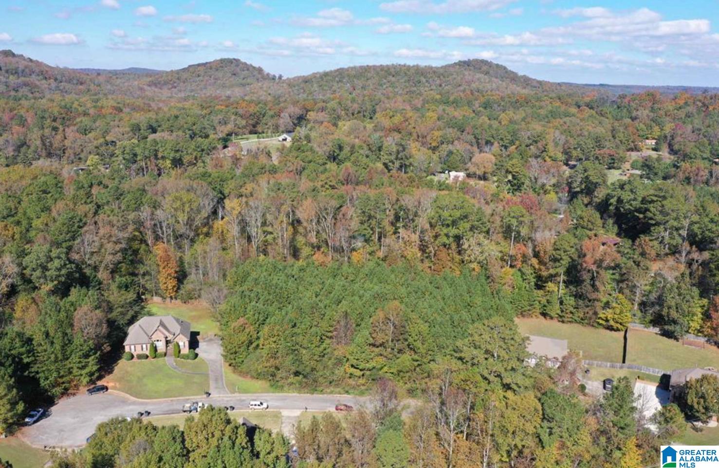 Homes for sale in Pinson, AL | 7012 Brooke Lane, Pinson, AL 35126 | MLS# 21398008