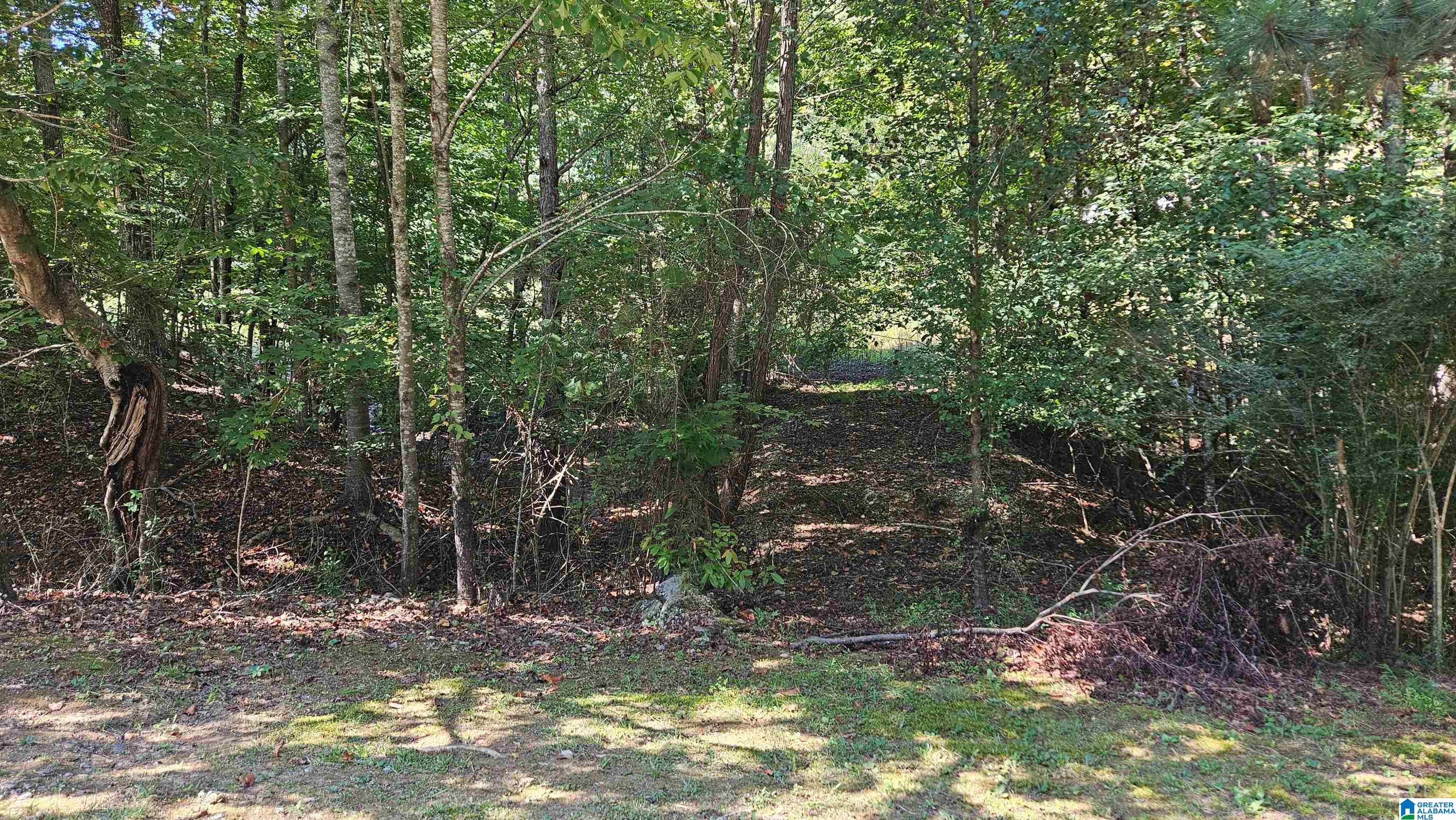 Homes for sale in Trussville, AL | 8588 Herring Lane, Trussville, AL 35173 | MLS# 21398091