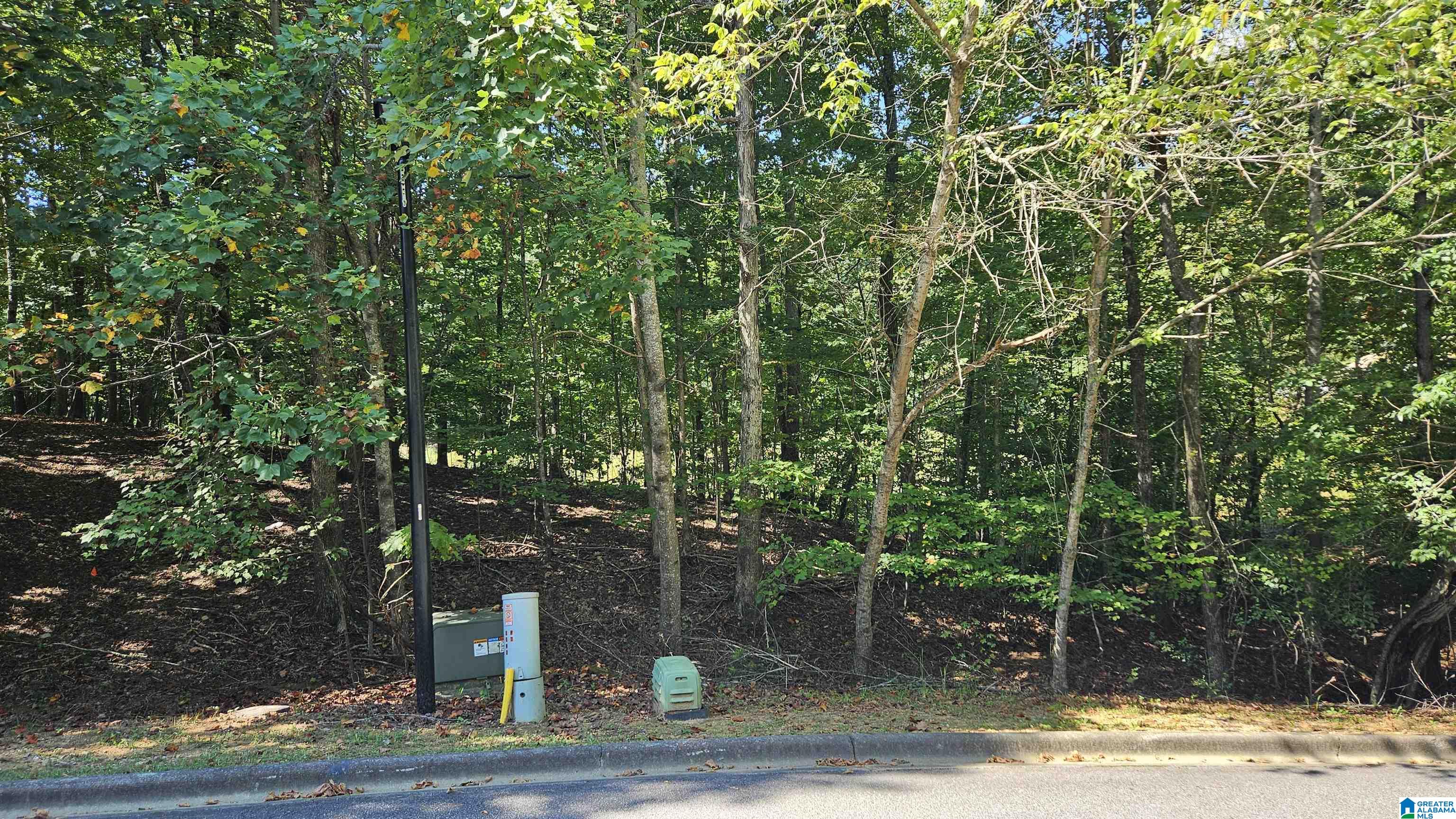 Homes for sale in Trussville, AL | 8588 Herring Lane, Trussville, AL 35173 | MLS# 21398091