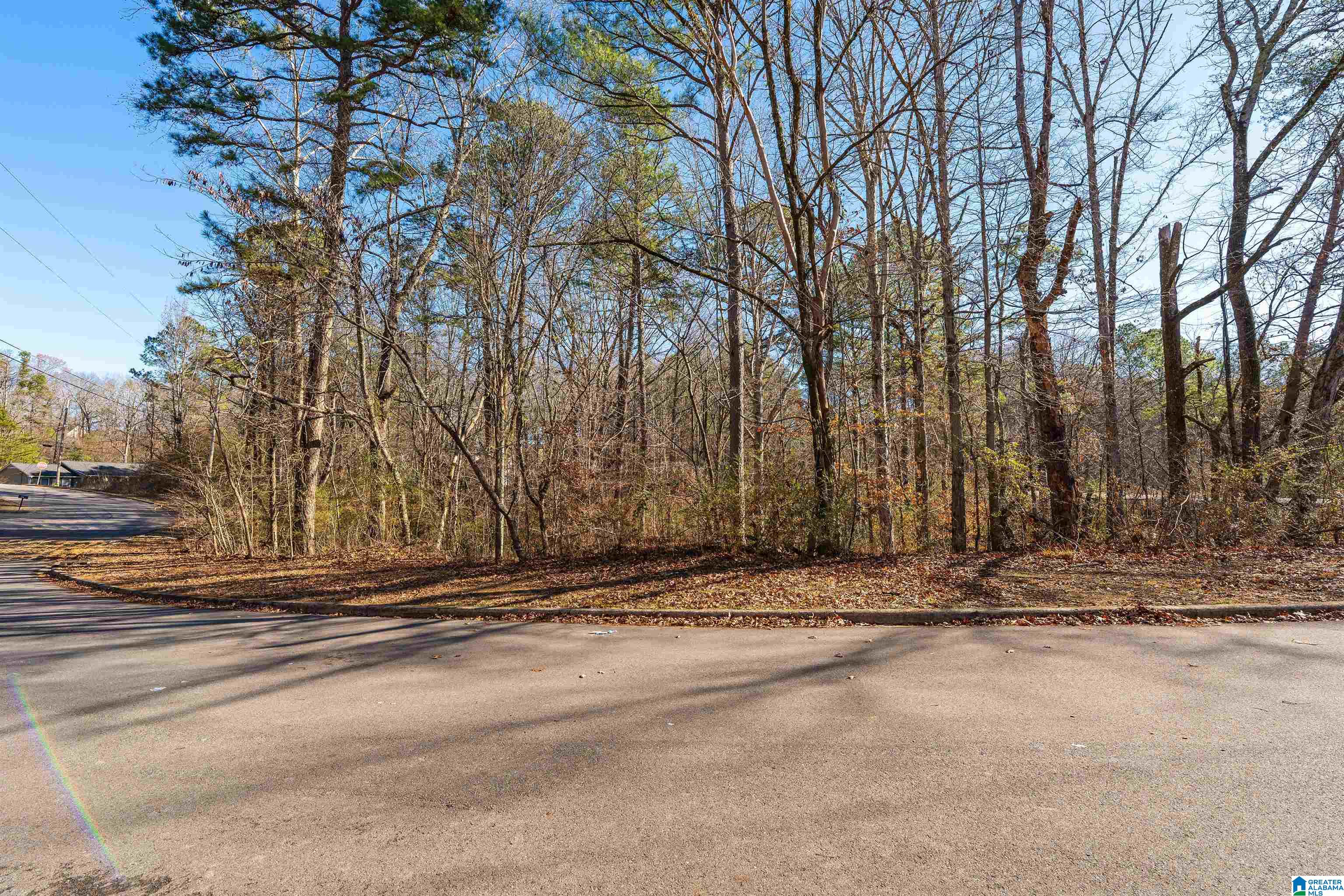 Homes for sale in Birmingham, AL | 1101 Eastbrook Lane, Birmingham, AL 35215 | MLS# 21398194