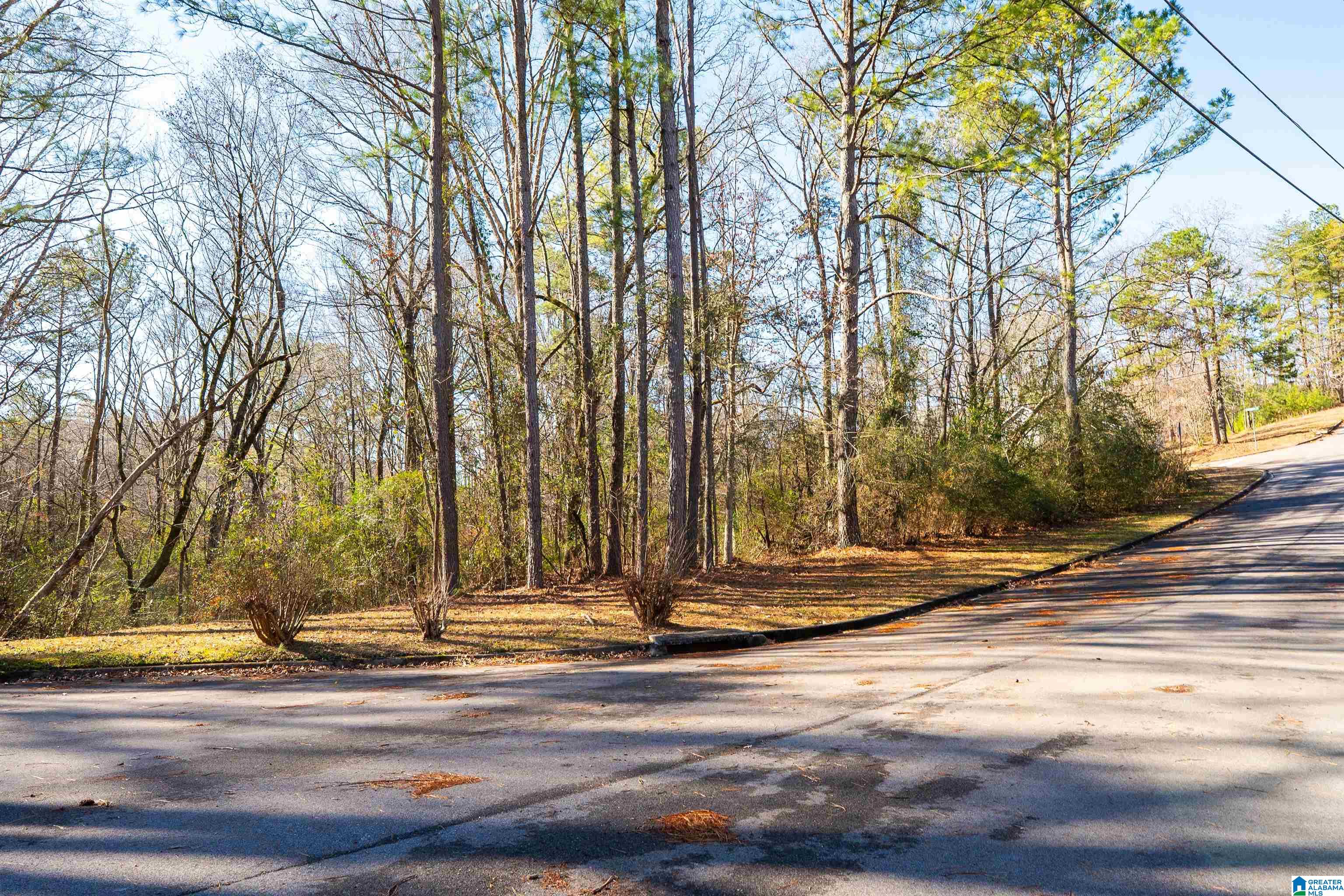 Homes for sale in Birmingham, AL | 1109 Eastbrook Lane, Birmingham, AL 35215 | MLS# 21398198