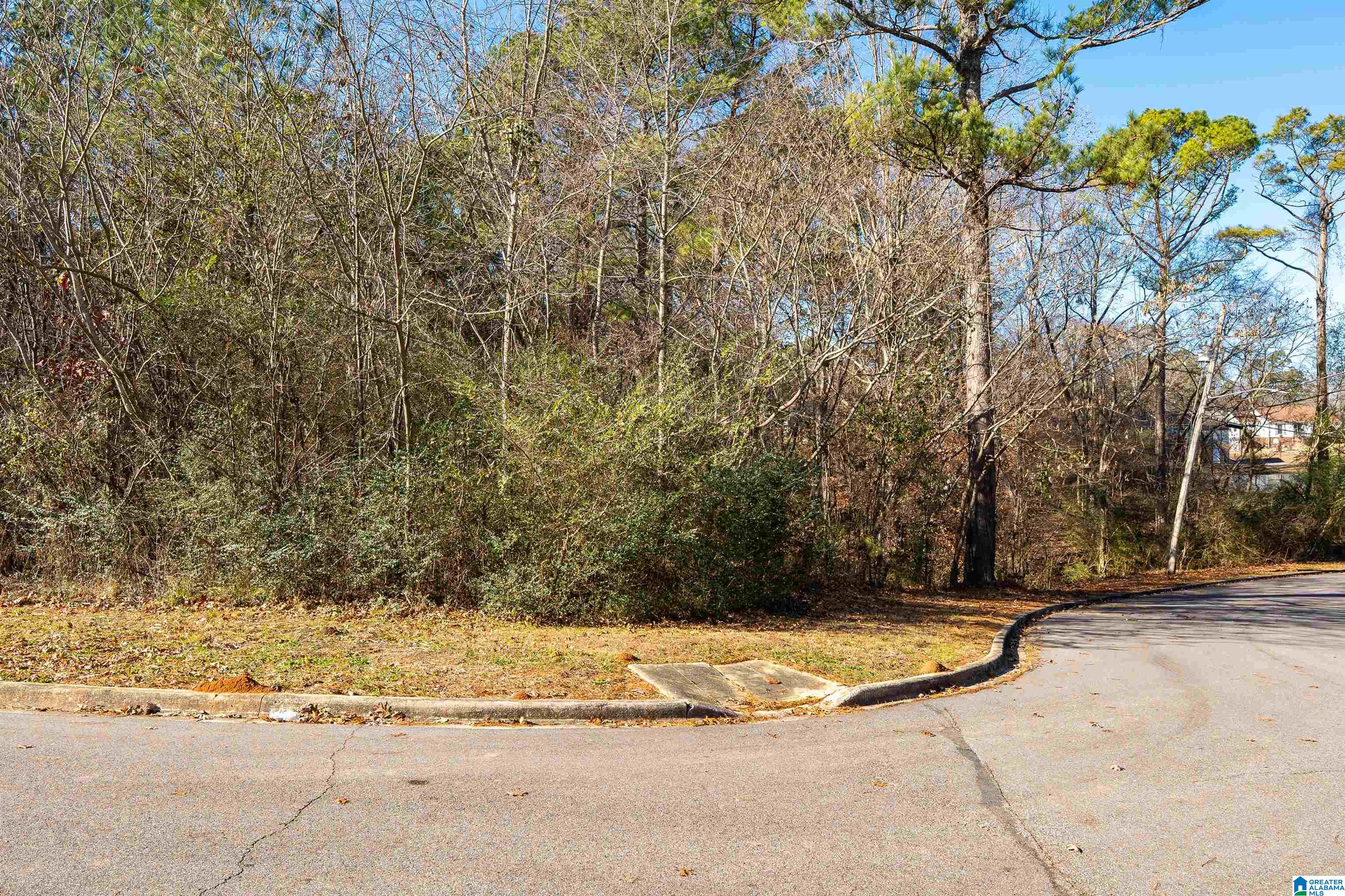 Homes for sale in Birmingham, AL | 551 Eastbrook Dr, Birmingham, AL 35215 | MLS# 21398202