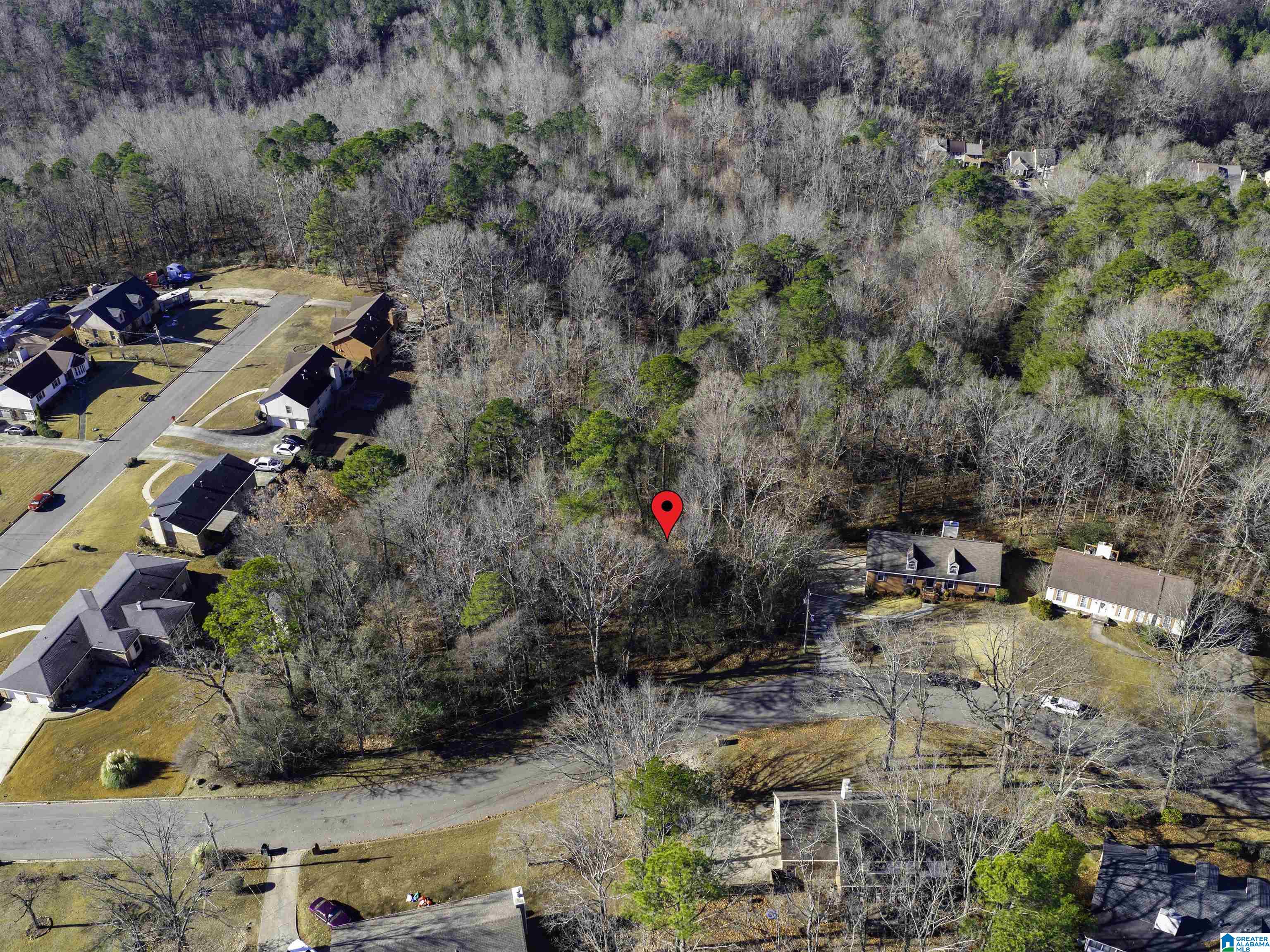 Homes for sale in Birmingham, AL | 1024 Timberline Trail, Birmingham, AL 35215 | MLS# 21398208