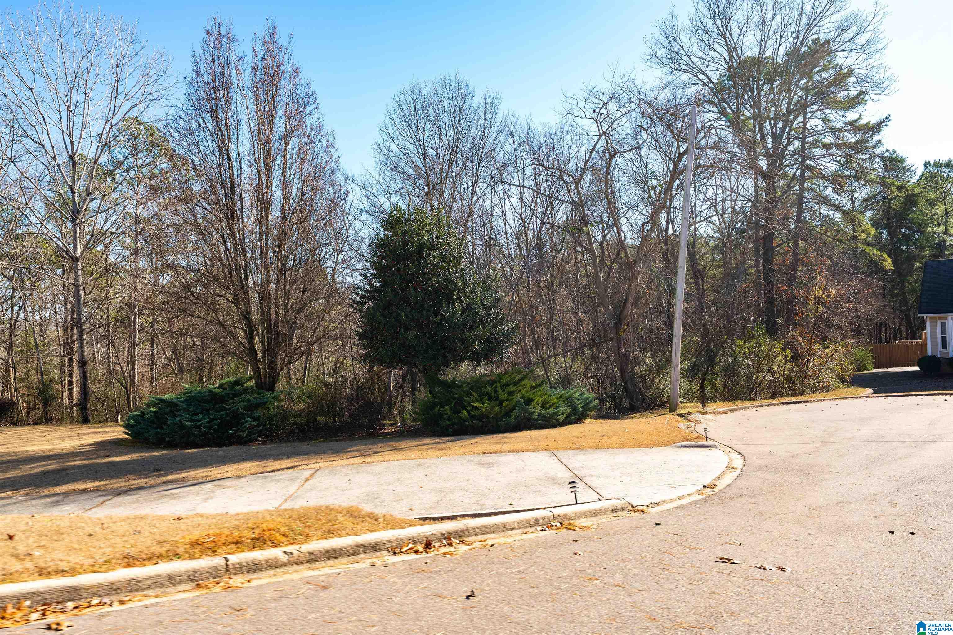 Homes for sale in Birmingham, AL | 1005 Timberline Trail, Birmingham, AL 35215 | MLS# 21398209