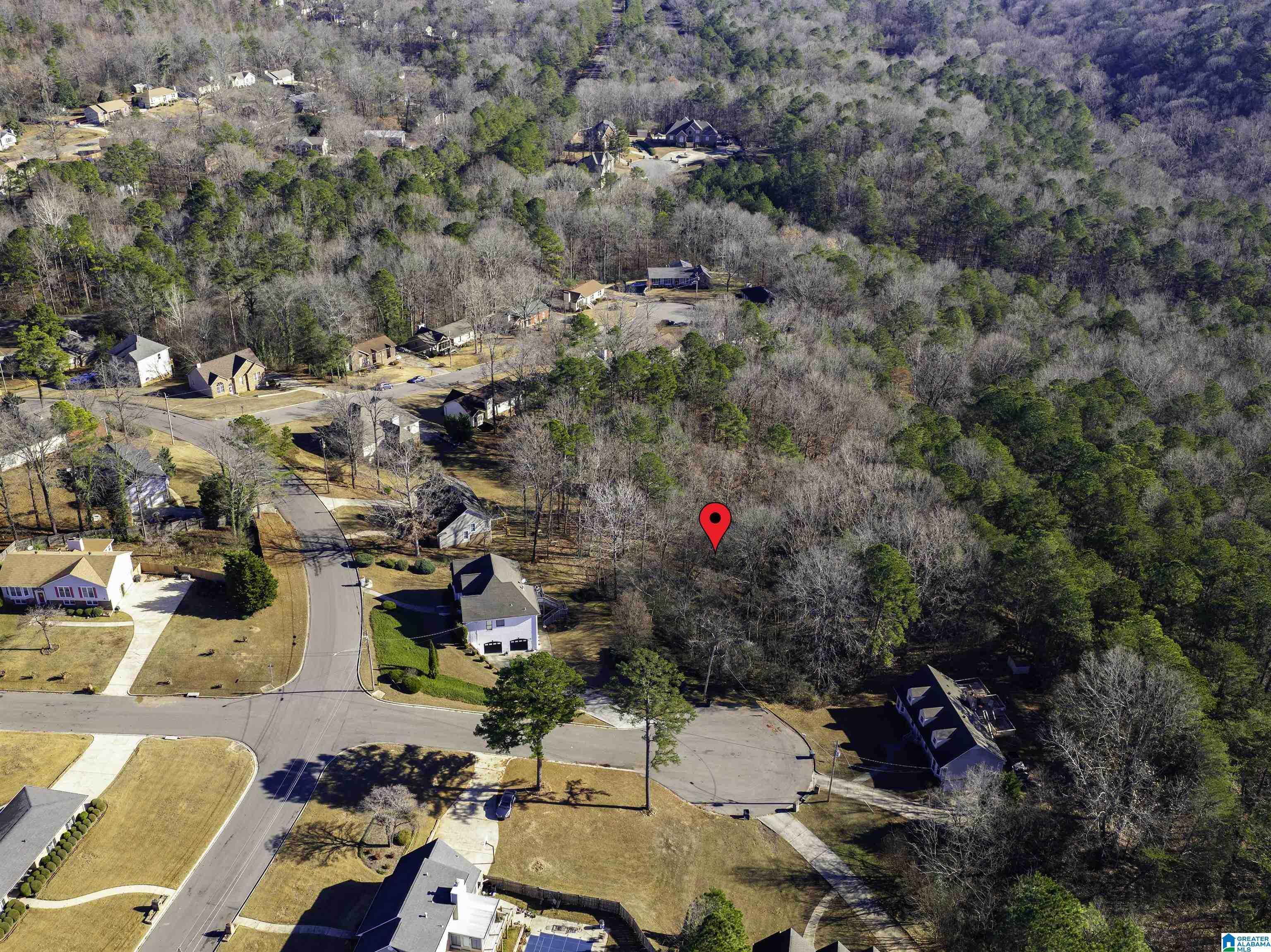 Homes for sale in Birmingham, AL | 1005 Timberline Trail, Birmingham, AL 35215 | MLS# 21398209