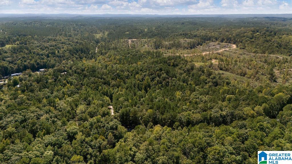 Homes for sale in Clanton, AL | 0 County Road 759, Clanton, AL 35046 | MLS# 21398304