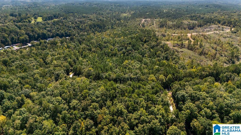 Homes for sale in Clanton, AL | 0 County Road 759, Clanton, AL 35046 | MLS# 21398304