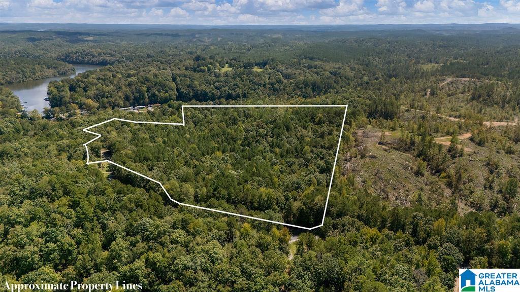 Homes for sale in Clanton, AL | 0 County Road 759, Clanton, AL 35046 | MLS# 21398304