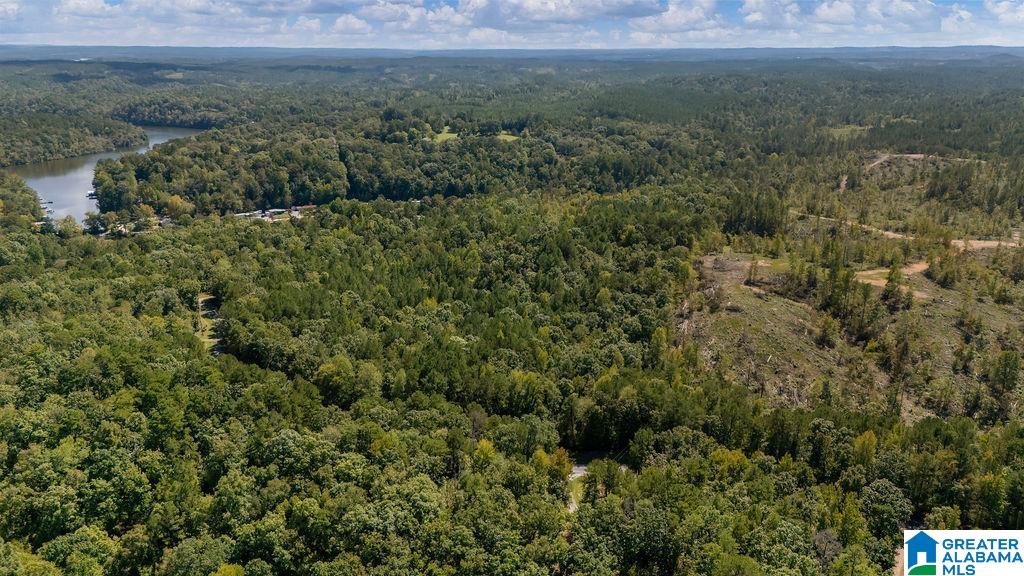 Homes for sale in Clanton, AL | 0 County Road 759, Clanton, AL 35046 | MLS# 21398304