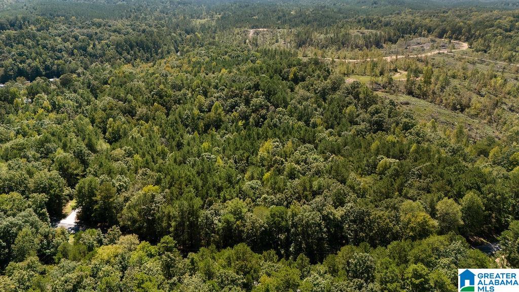 Homes for sale in Clanton, AL | 0 County Road 759, Clanton, AL 35046 | MLS# 21398304