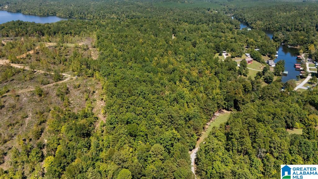 Homes for sale in Clanton, AL | 0 County Road 759, Clanton, AL 35046 | MLS# 21398304