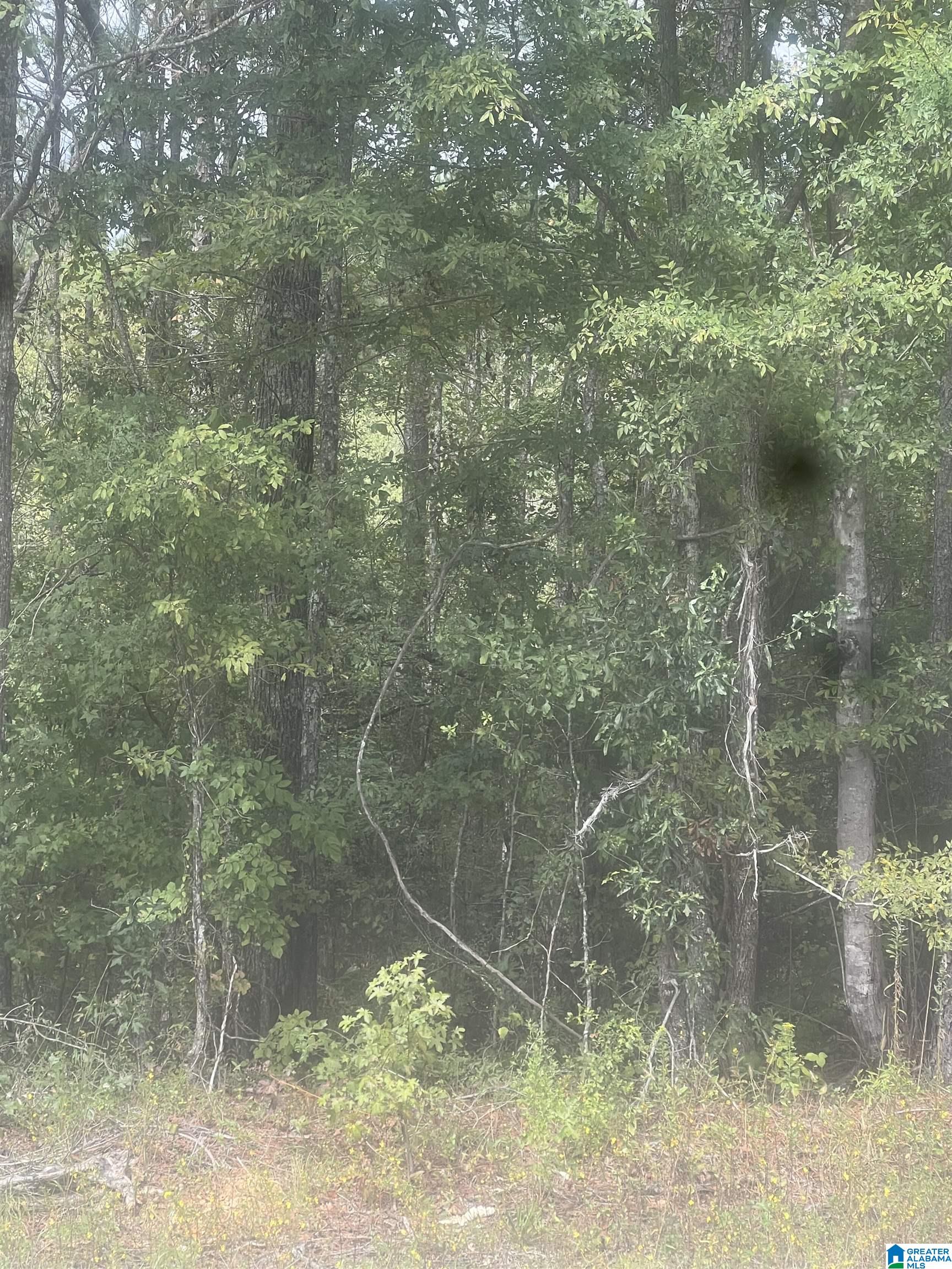 Homes for sale in Cordova, AL | 0 Gardners Gin Road, Cordova, AL 35550 | MLS# 21399626