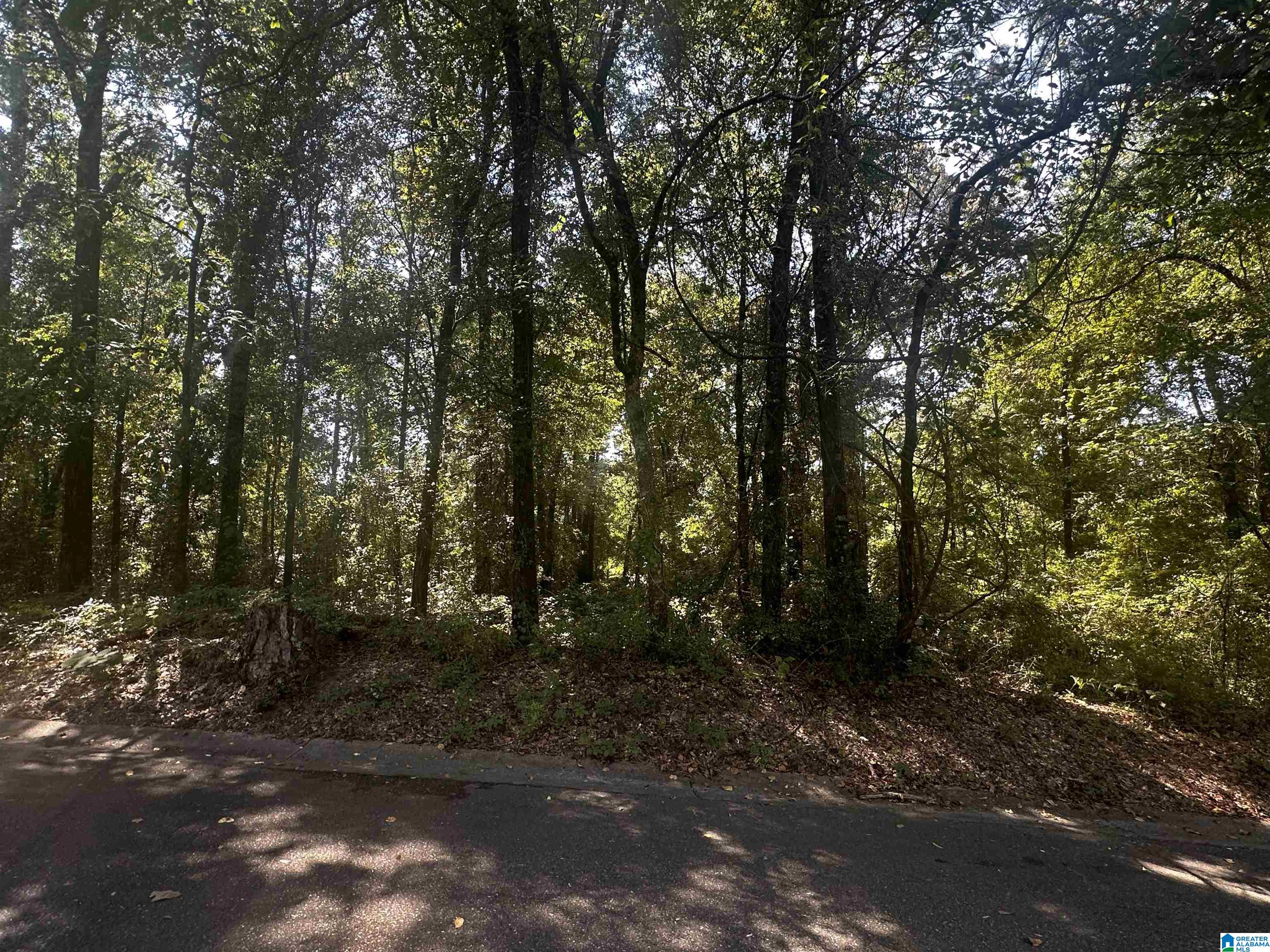 Homes for sale in Prattville, AL | Meharry Street, Prattville, AL 36067 | MLS# 21399686