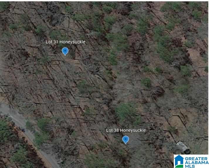 Homes for sale in Moody, AL | Lot 31 Honeysuckle Lane, Moody, AL 35004 | MLS# 21399924