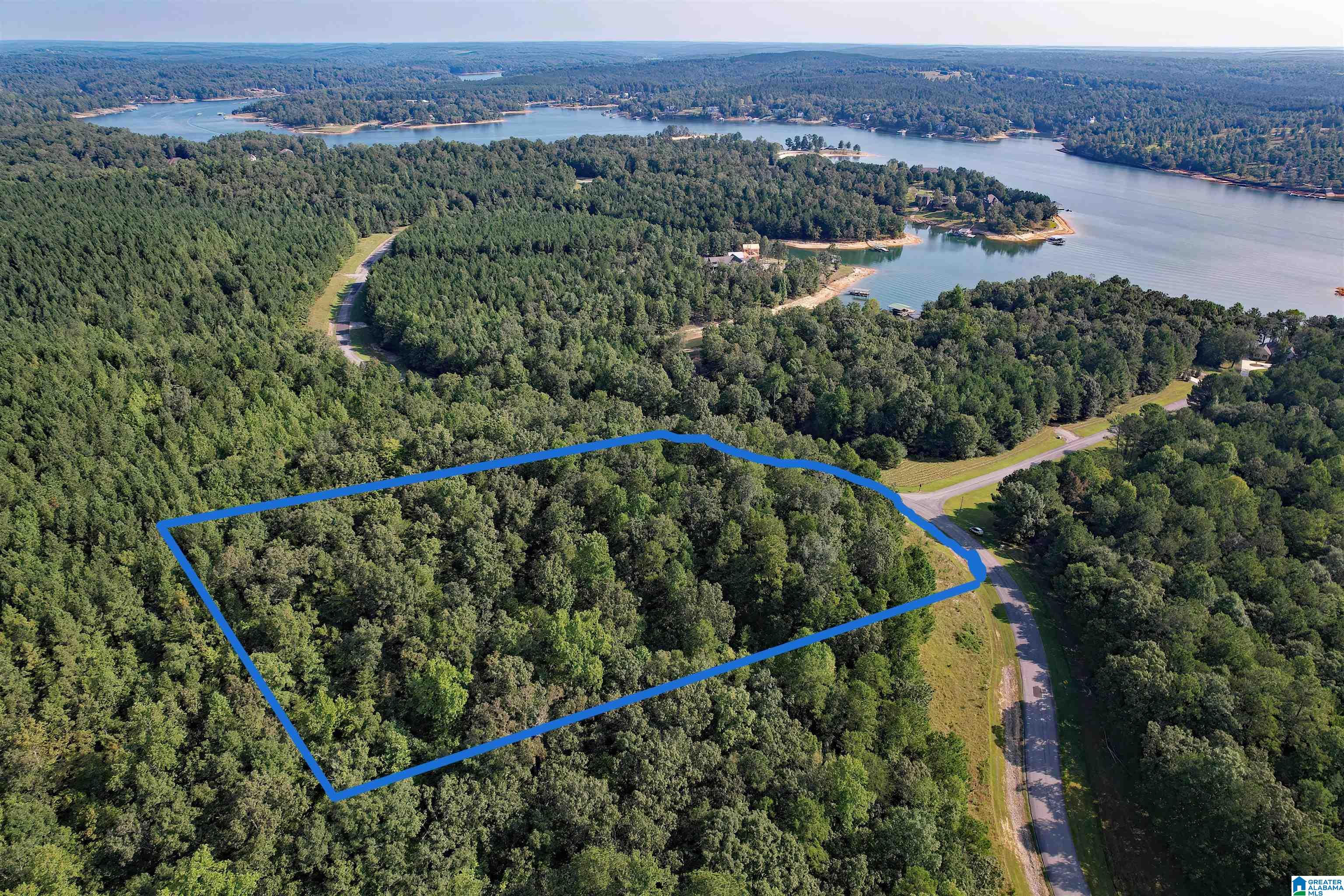 Homes for sale in Double Springs, AL | 221 Stoney Point Road S, Double Springs, AL 35553 | MLS# 21400154