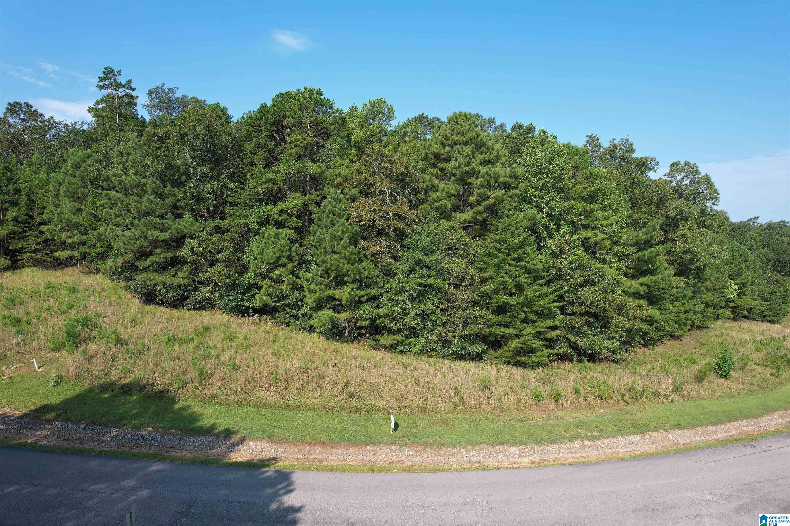 Homes for sale in Double Springs, AL | 221 Stoney Point Road S, Double Springs, AL 35553 | MLS# 21400154