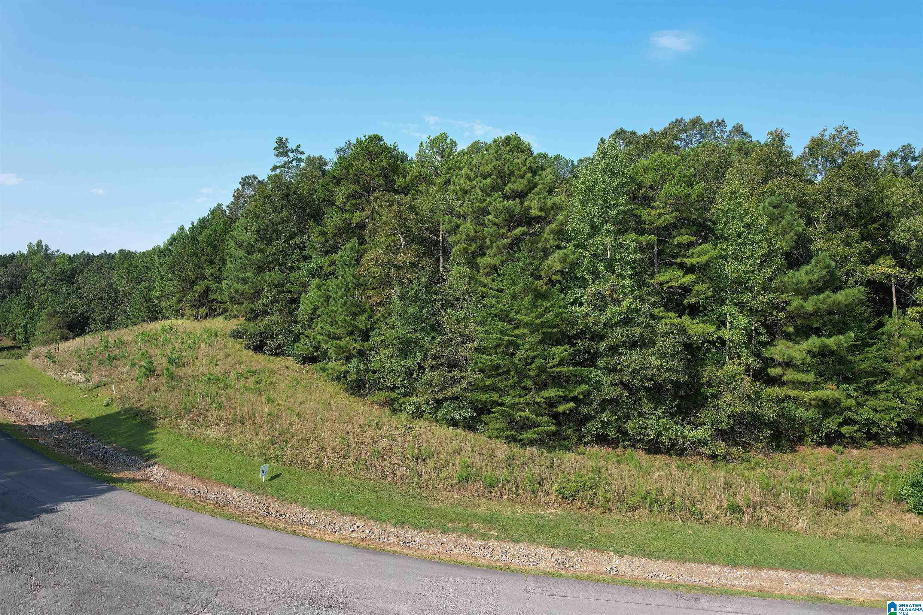 Homes for sale in Double Springs, AL | 221 Stoney Point Road S, Double Springs, AL 35553 | MLS# 21400154