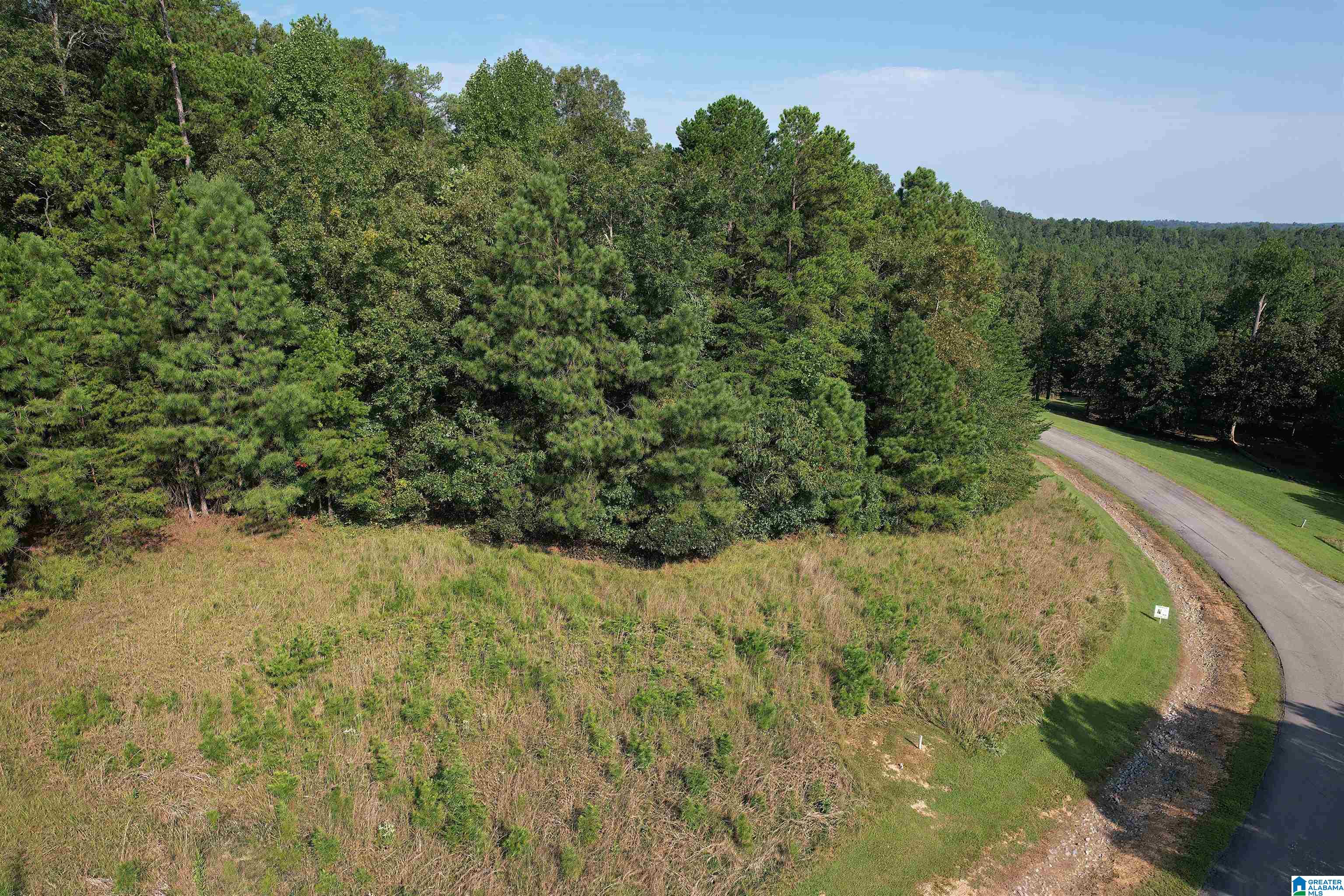Homes for sale in Double Springs, AL | 221 Stoney Point Road S, Double Springs, AL 35553 | MLS# 21400154