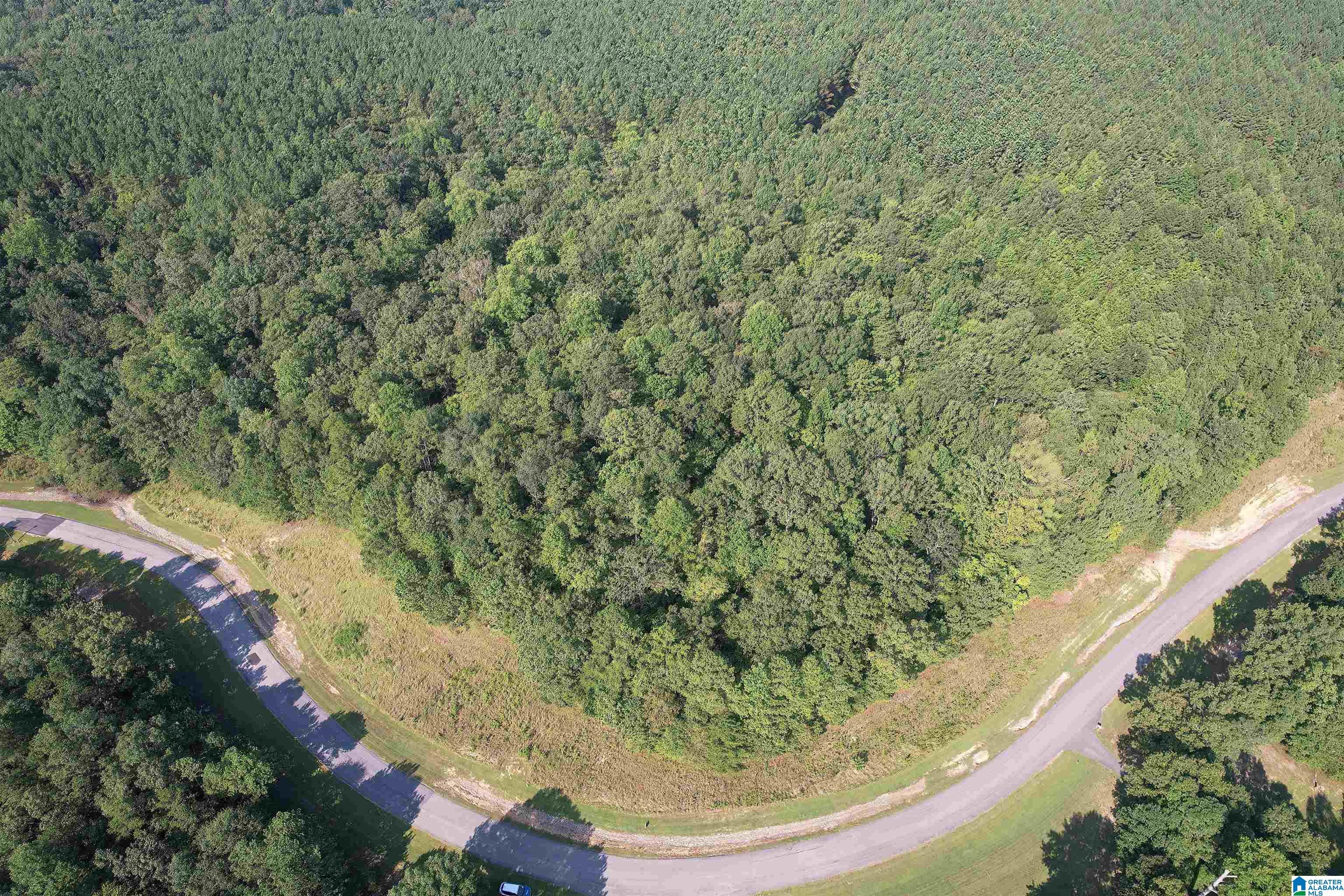 Homes for sale in Double Springs, AL | 221 Stoney Point Road S, Double Springs, AL 35553 | MLS# 21400154