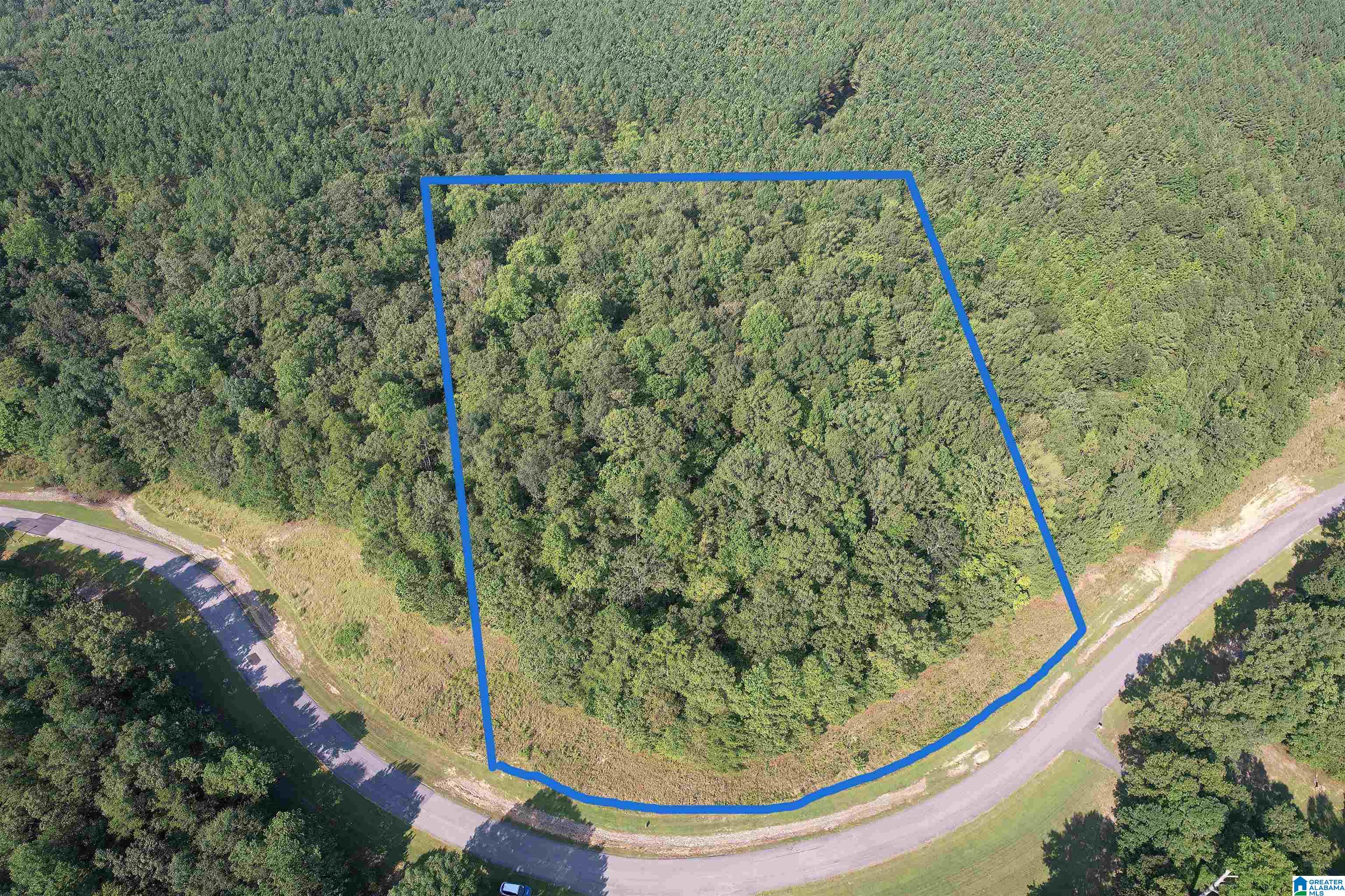 Homes for sale in Double Springs, AL | 221 Stoney Point Road S, Double Springs, AL 35553 | MLS# 21400154