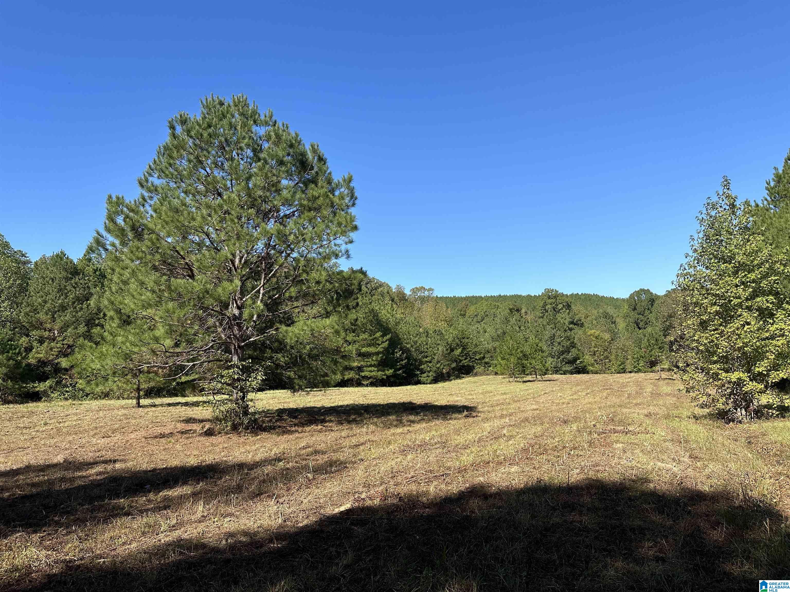 4434 COUNTY ROAD 86
