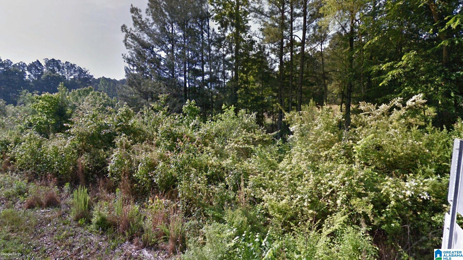 Homes for sale in Jacksonville, AL | 000 School Cutoff Road, Jacksonville, AL 36265 | MLS# 21400898