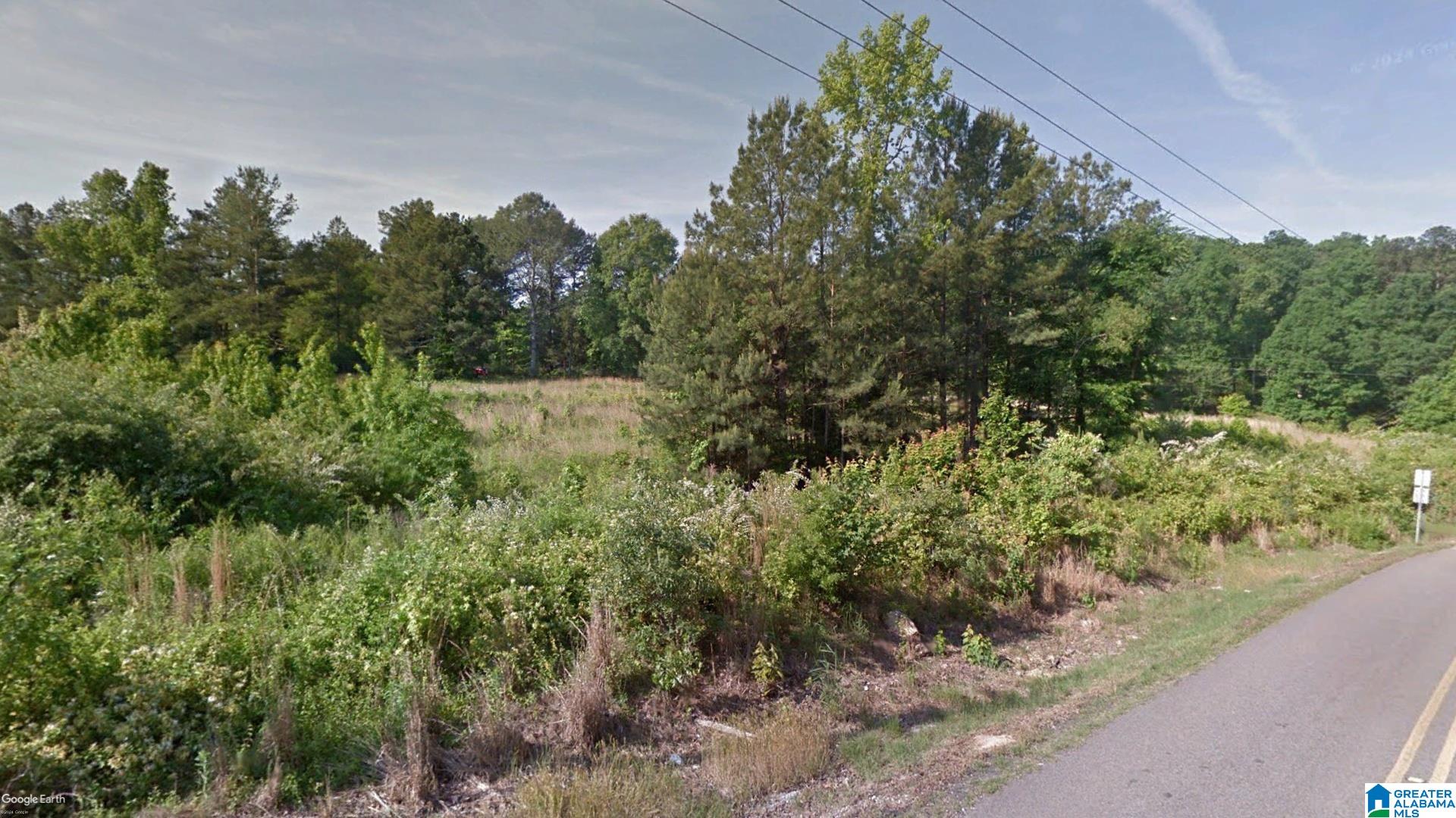 Homes for sale in Jacksonville, AL | 000 School Cutoff Road, Jacksonville, AL 36265 | MLS# 21400898