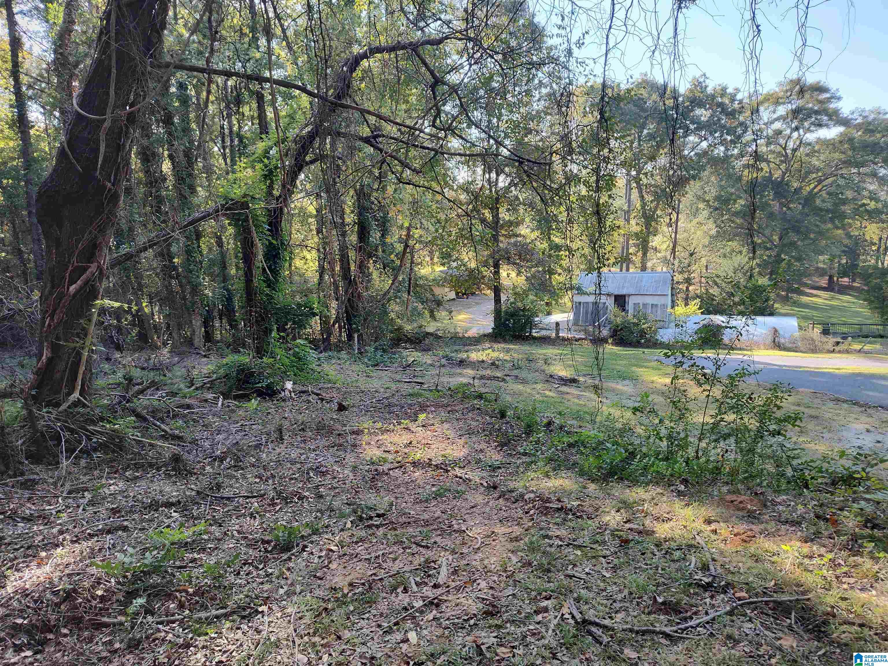 Homes for sale in Wilsonville, AL | 444 Brothers Avenue, Wilsonville, AL 35186 | MLS# 21401229