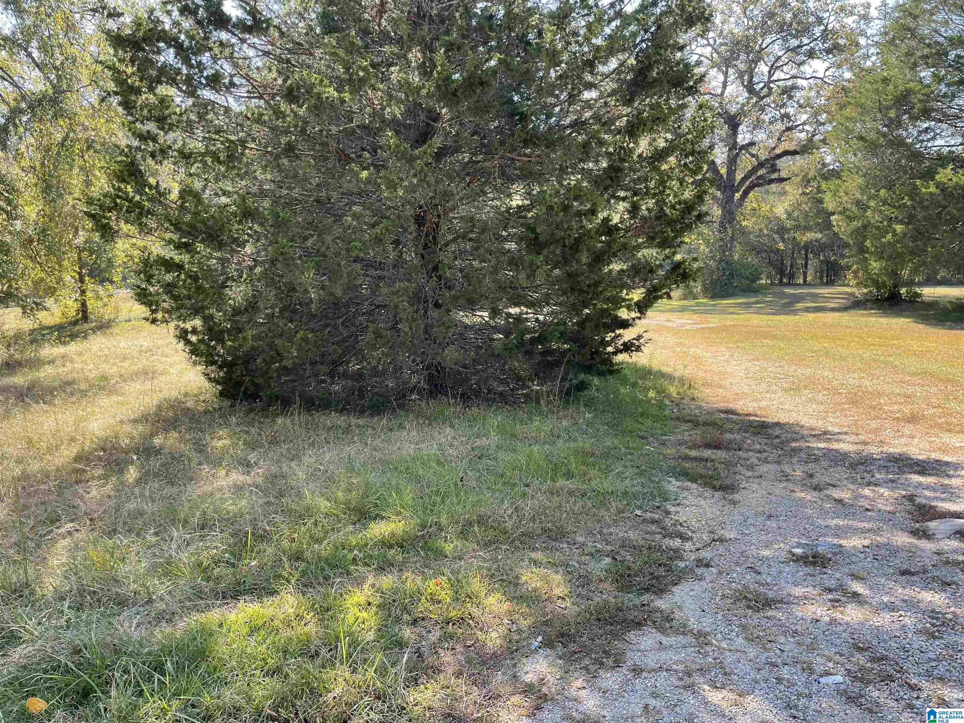 Homes for sale in Lincoln, AL | 2356 Mitchellville Road, Lincoln, AL 35096 | MLS# 21401657
