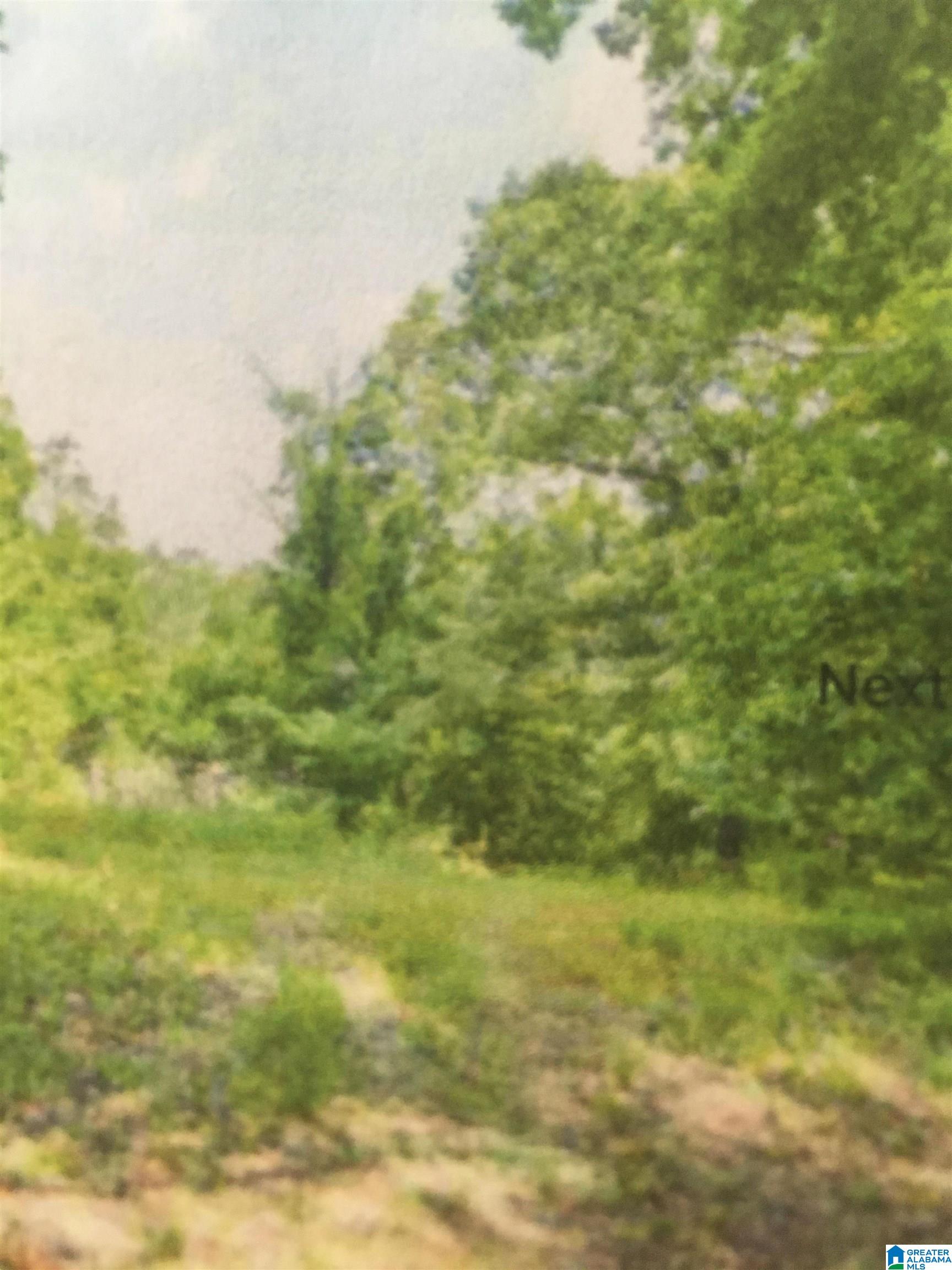 Homes for sale in Indian Springs Village, AL | Arrowhead Lane, Indian Springs Village, AL 35124 | MLS# 21401964