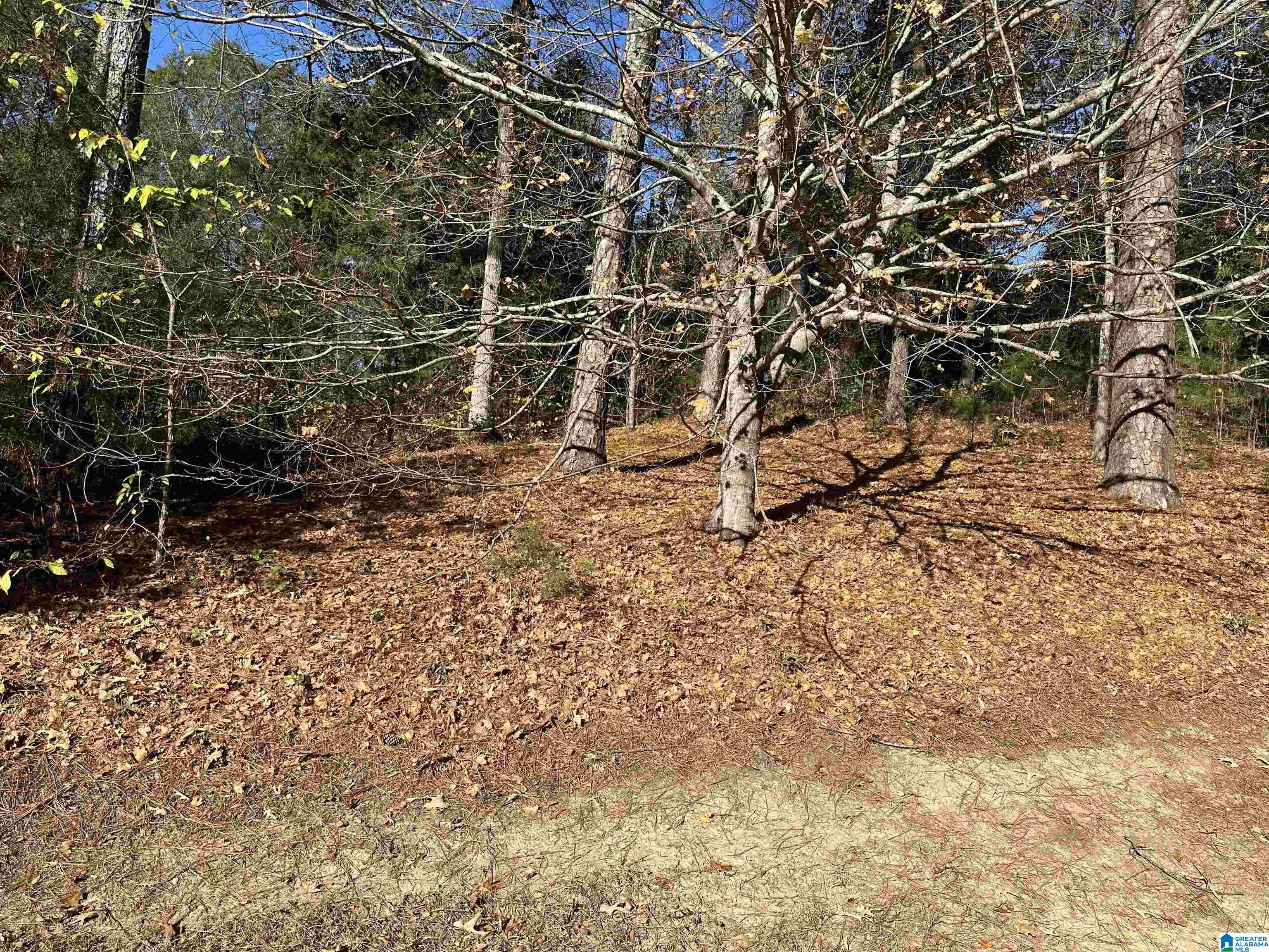 Homes for sale in Jacksonville, AL | 0 Monticello Pl, Jacksonville, AL 36265 | MLS# 21402202