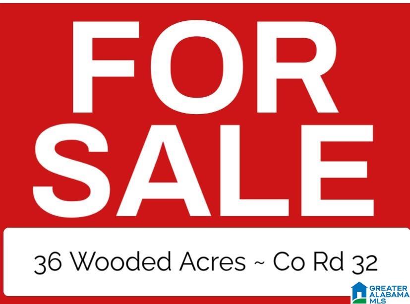 Homes for sale in Greensboro, AL | 0 County Road 32, Greensboro, AL 36744 | MLS# 21402934