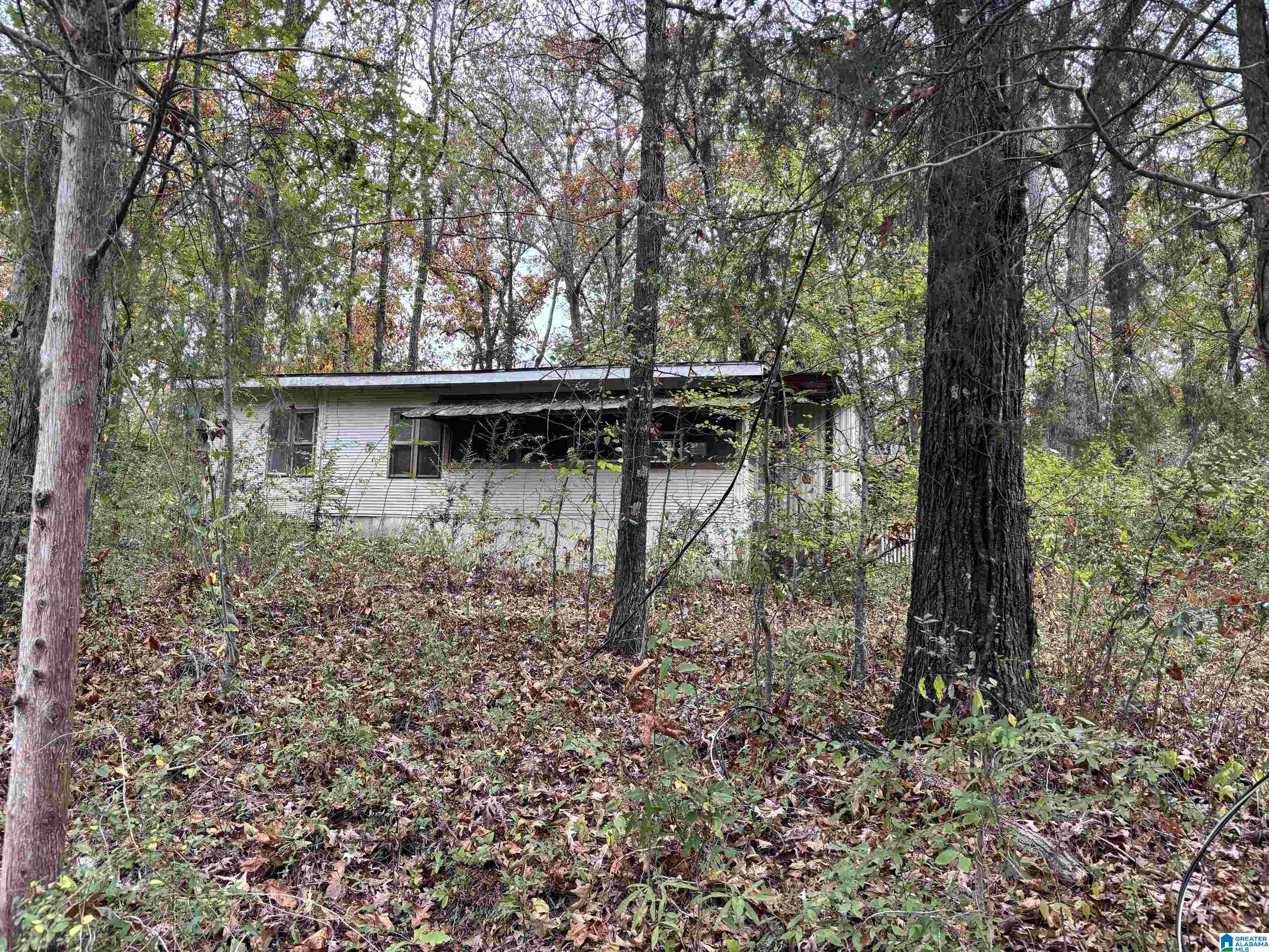 Homes for sale in Wilsonville, AL | 120 Valentine Trail, Wilsonville, AL 35186 | MLS# 21403169