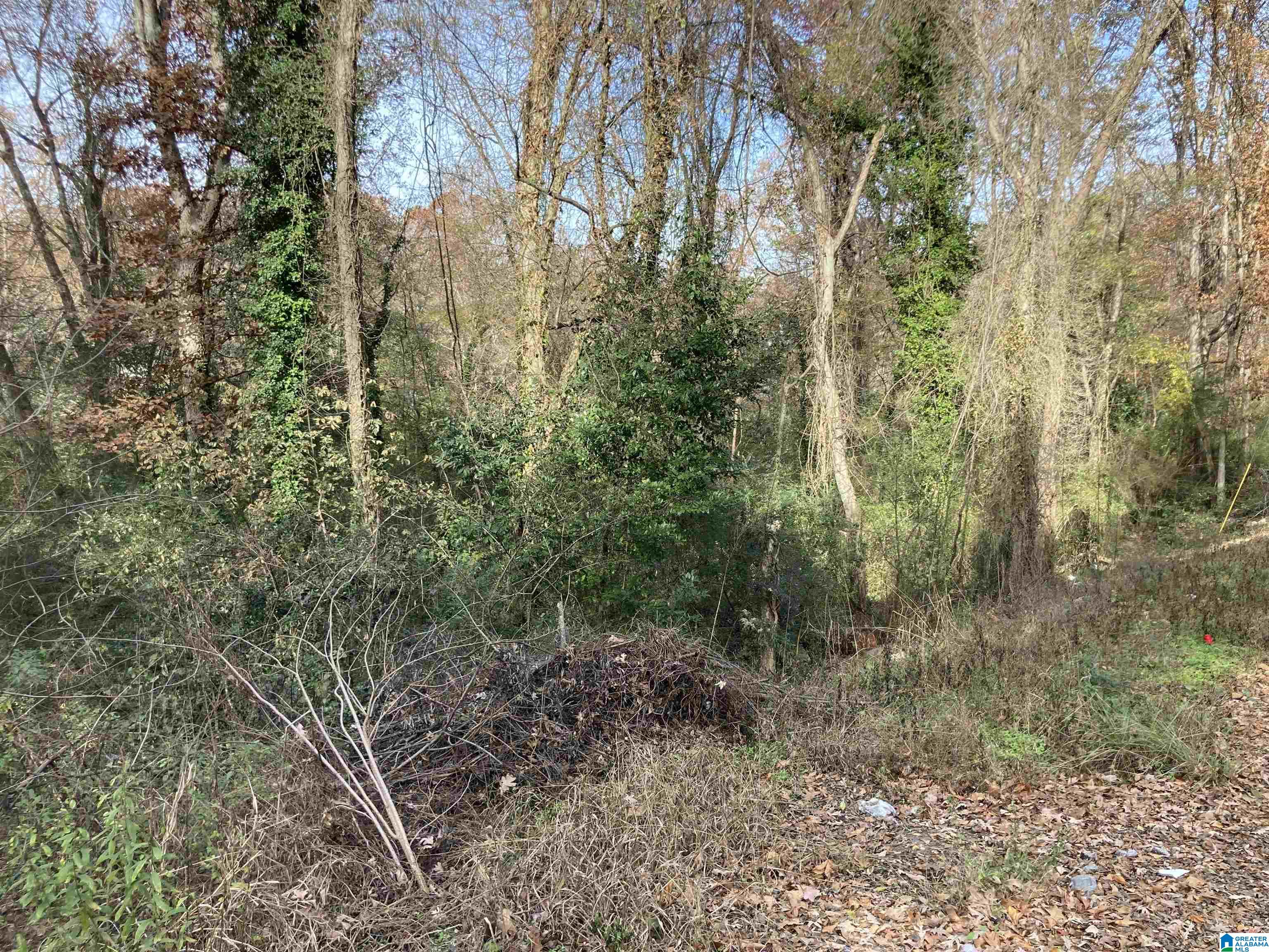 Homes for sale in Center Point, AL | 2910 1st Street Nw, Center Point, AL 35215 | MLS# 21404233