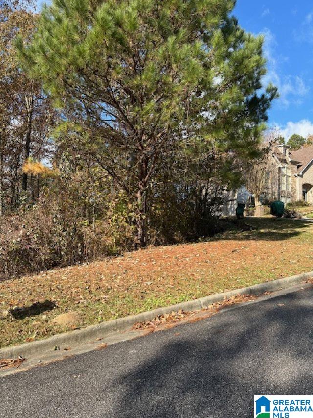 Homes for sale in Chelsea, AL | 113 Crest Dr, Chelsea, AL 35043 | MLS# 21404308